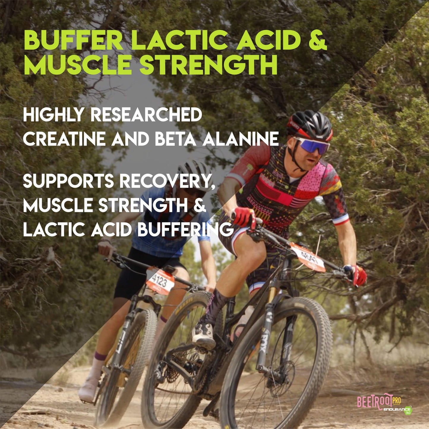Endurance 360 Complete with Electrolytes, Creatine and Beta Alanine Capsules 120