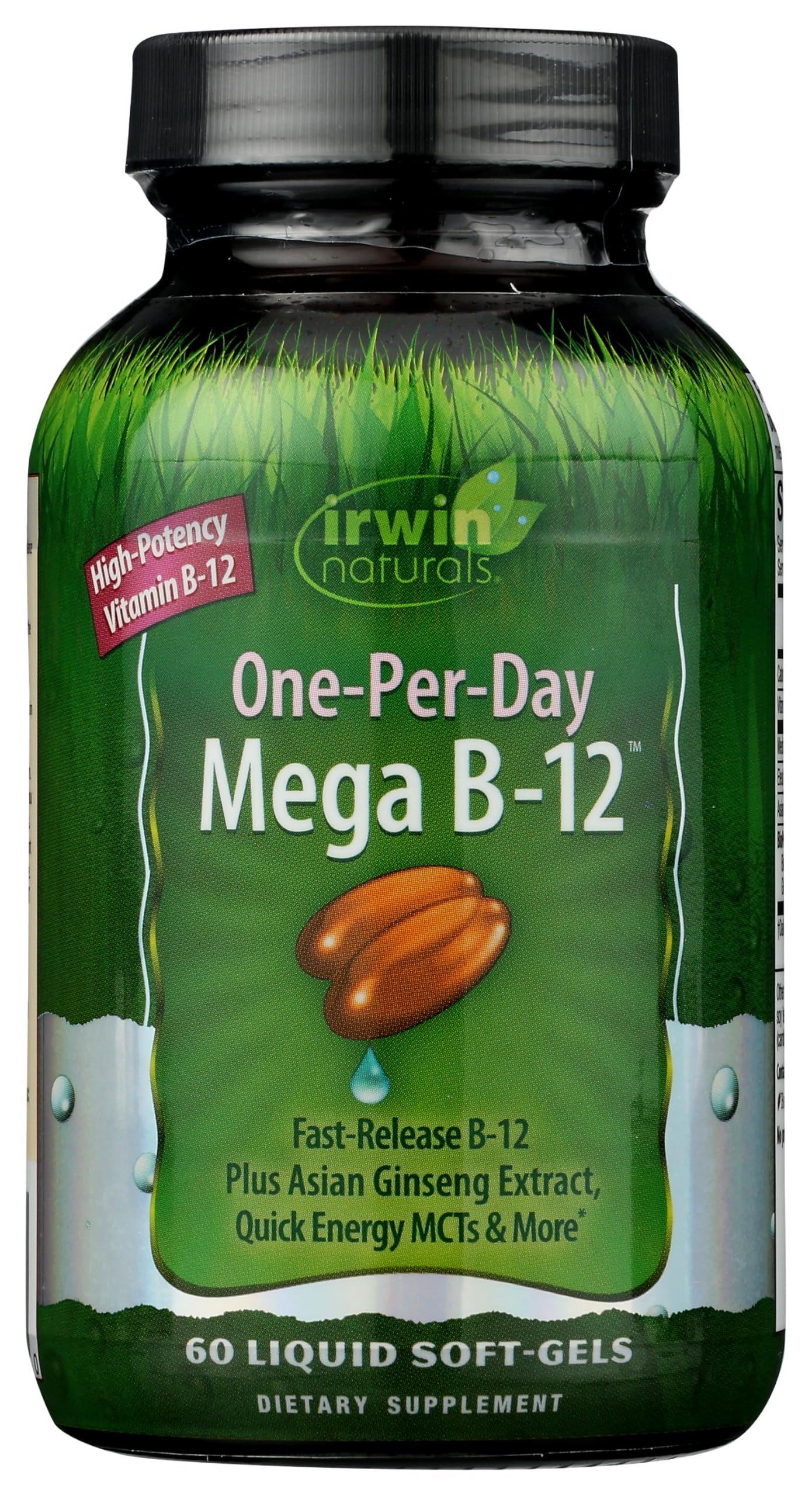 Irwin Naturals Quick Release B-12 Extra Cellular Energy Support 60 Softgels