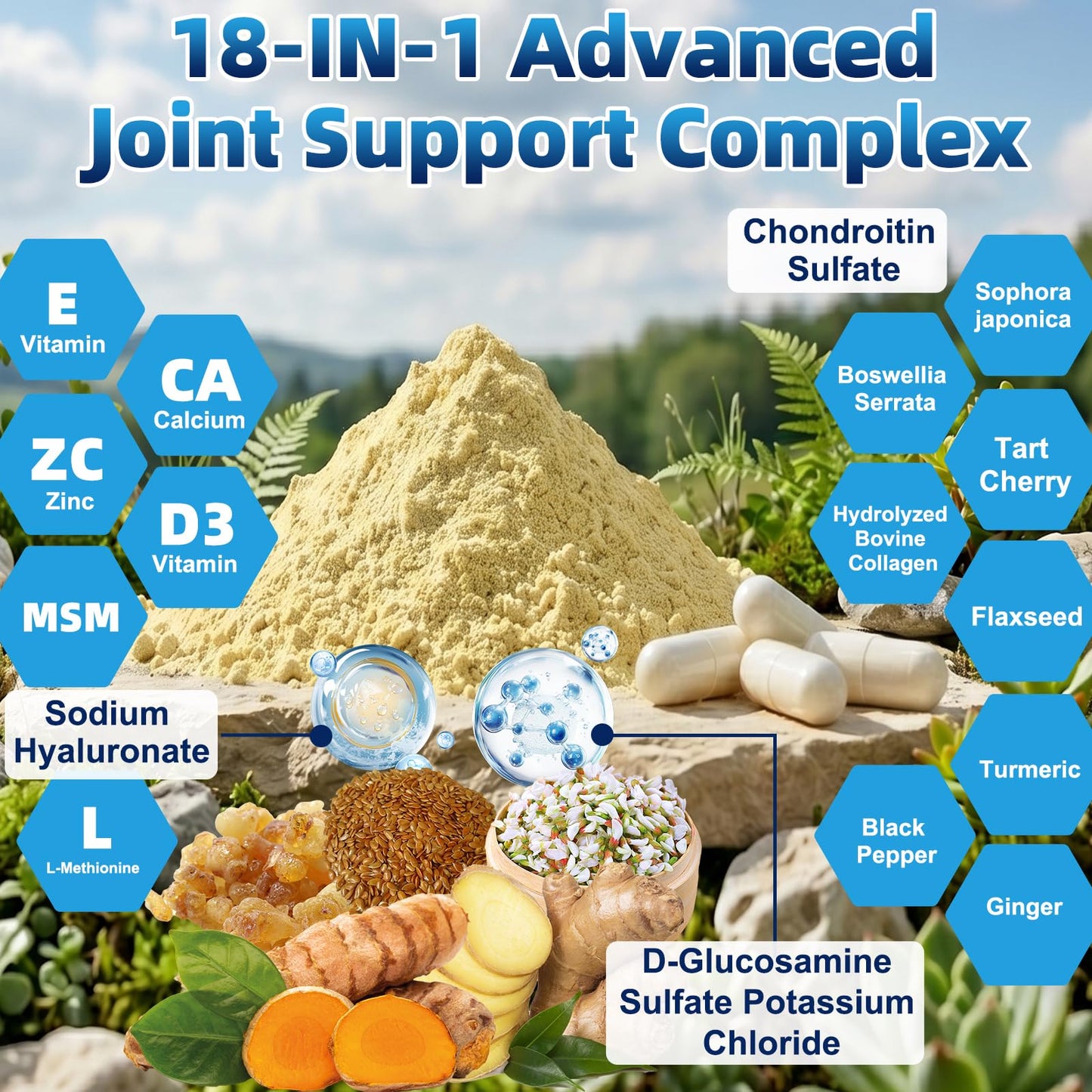 Dr. HR Joint Health Supplement for Mobility & Flexibility - Glucosamine Chondroitin MSM Turmeric Complex Capsule, 1 Count