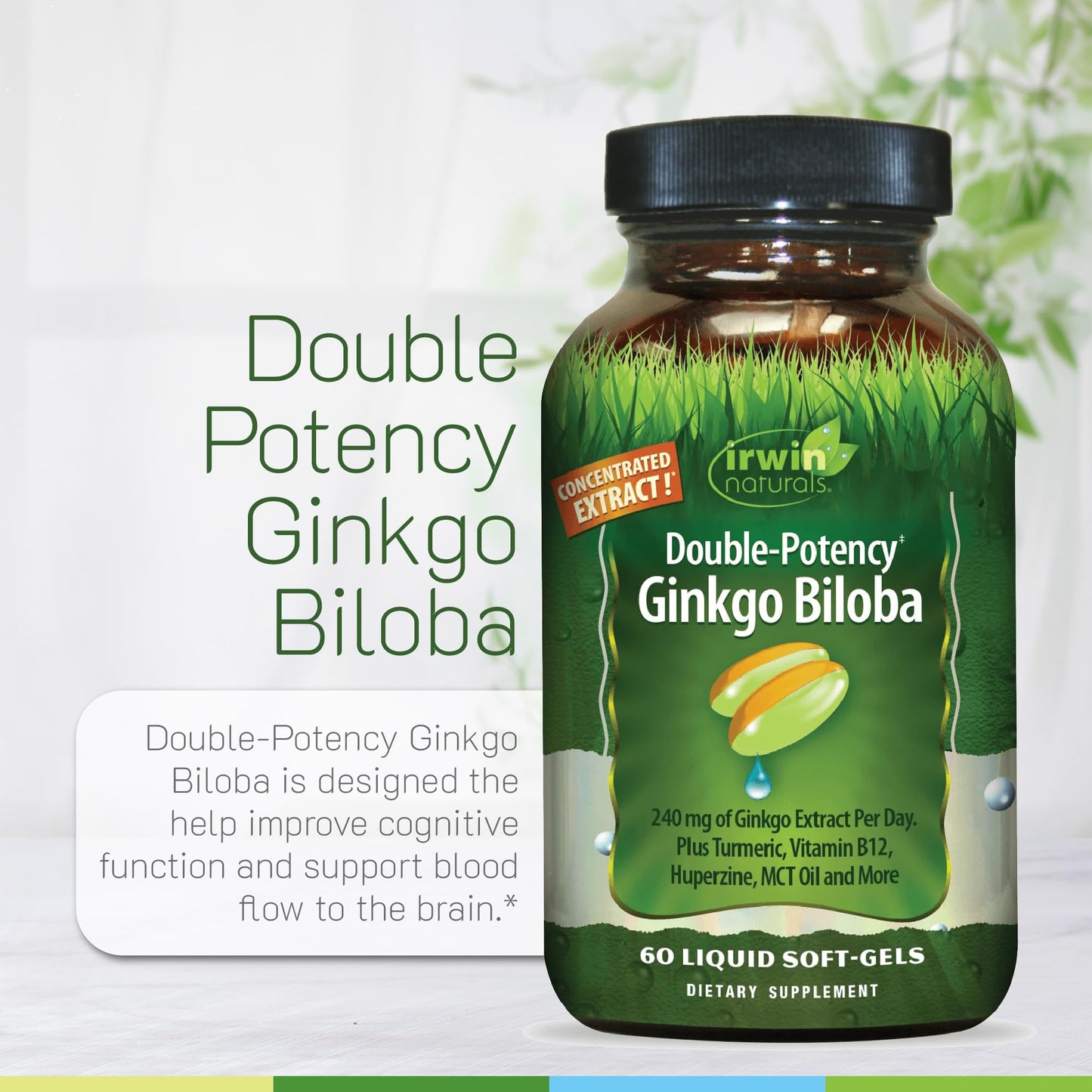 Irwin Naturals Ginkgo Biloba Softgels, 60 Count