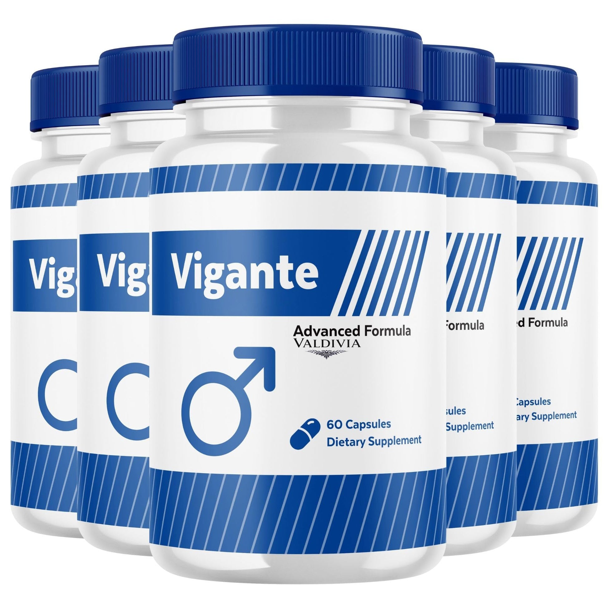 Valdivia Vigante Capsules 300 Capsules