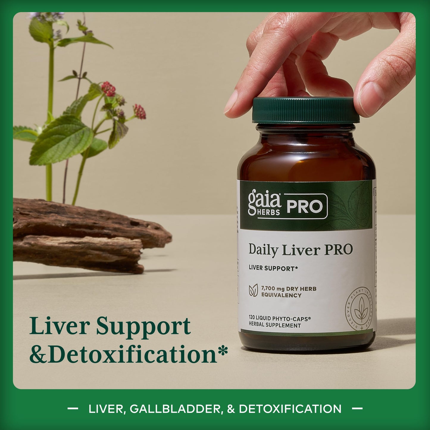 Gaia Herbs PRO Daily Liver Pro Capsules, 120 Count