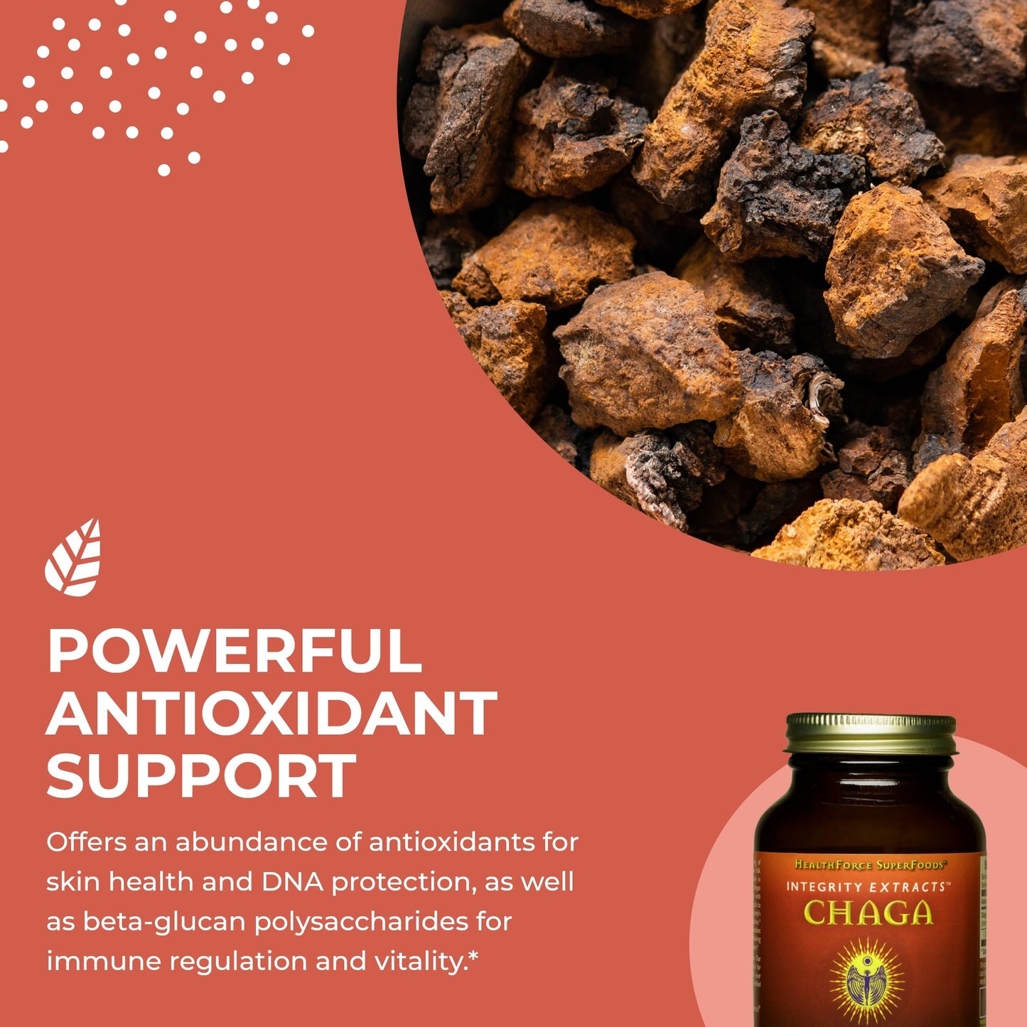HEALTHFORCE SUPERFOODS Integrity Extracts Chaga Powder 70 Gram