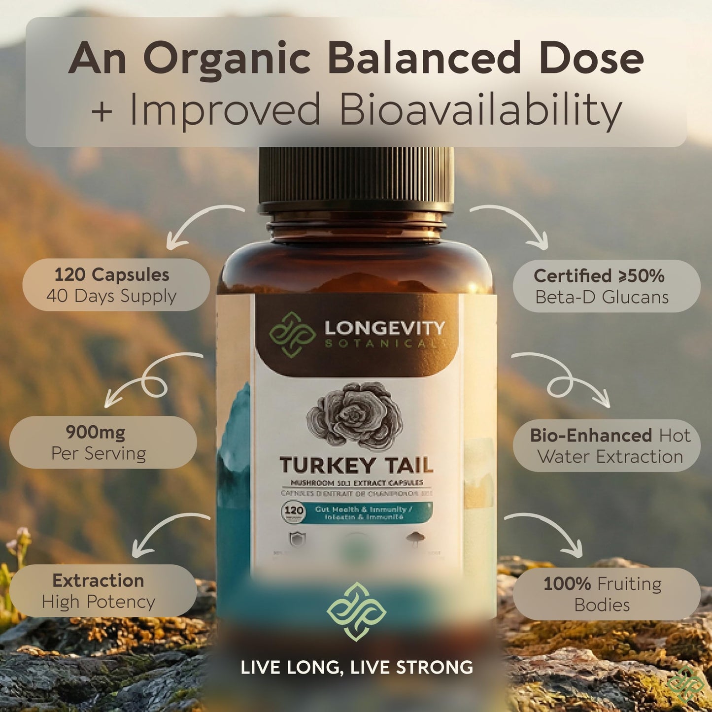 Longevity Botanicals Organic Turkey Tail Mushroom Capsules 120 Count