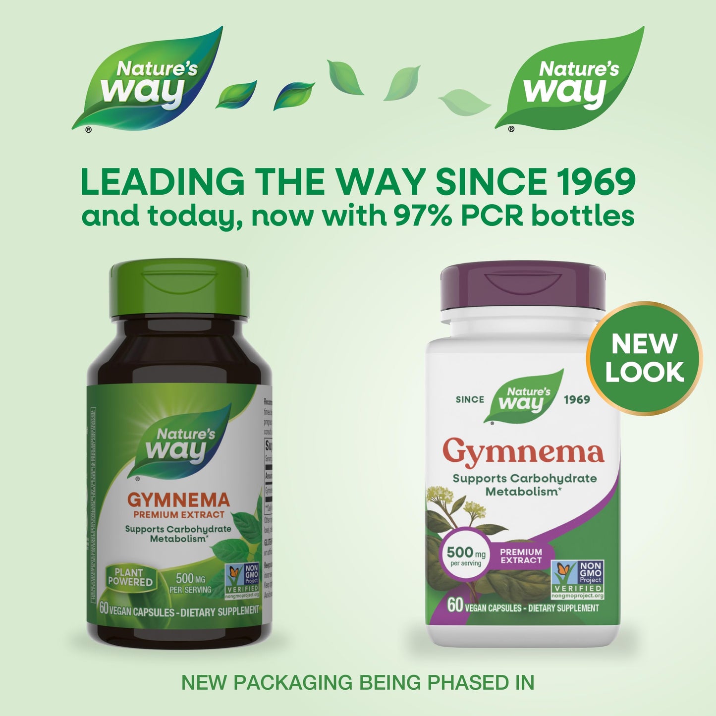 Nature's Way Gymnema Premium Extract Capsule, 60 Capsules