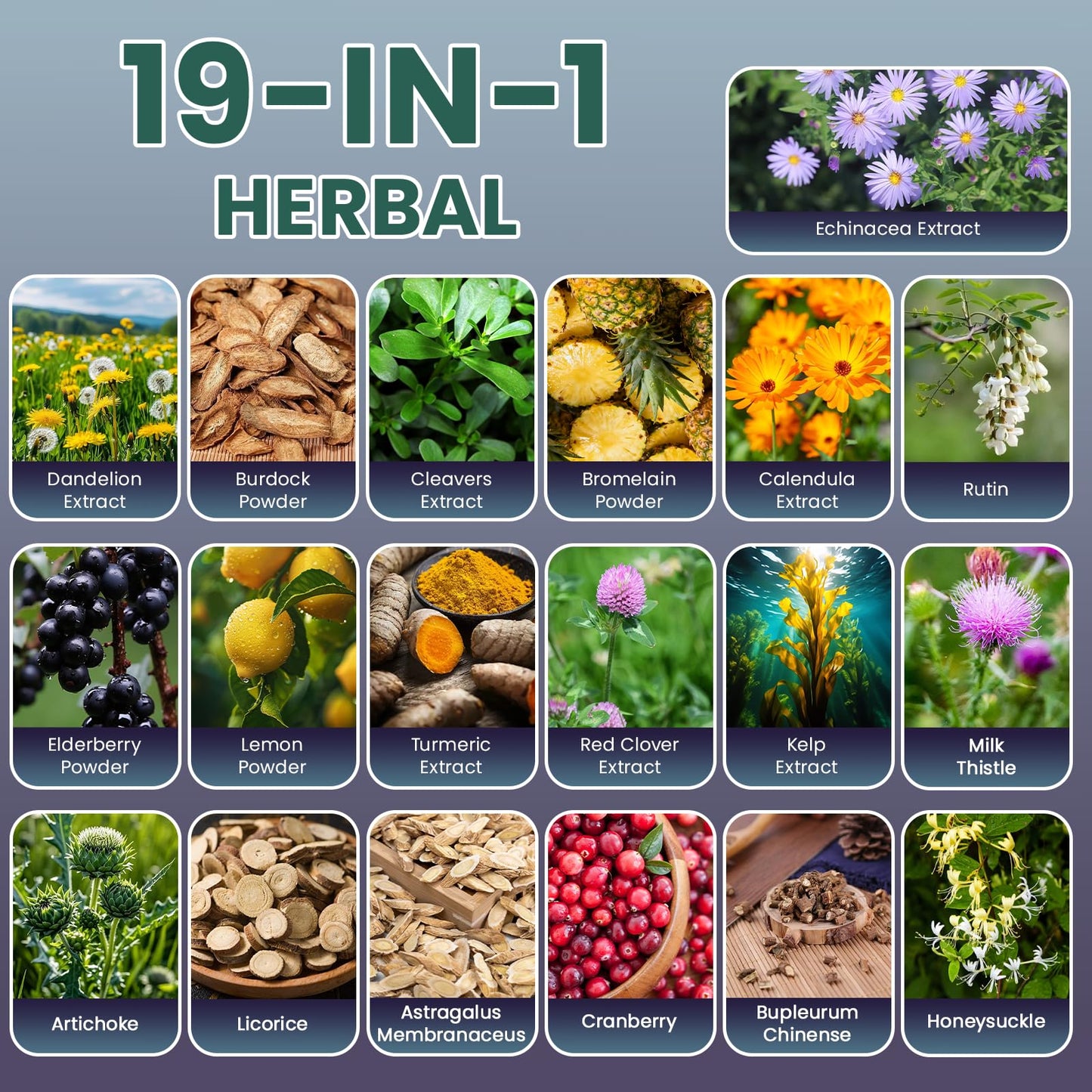 Maxhemphealth Lymphatic Drainage Capsules 19-in-1 Herbal, 90 Capsules