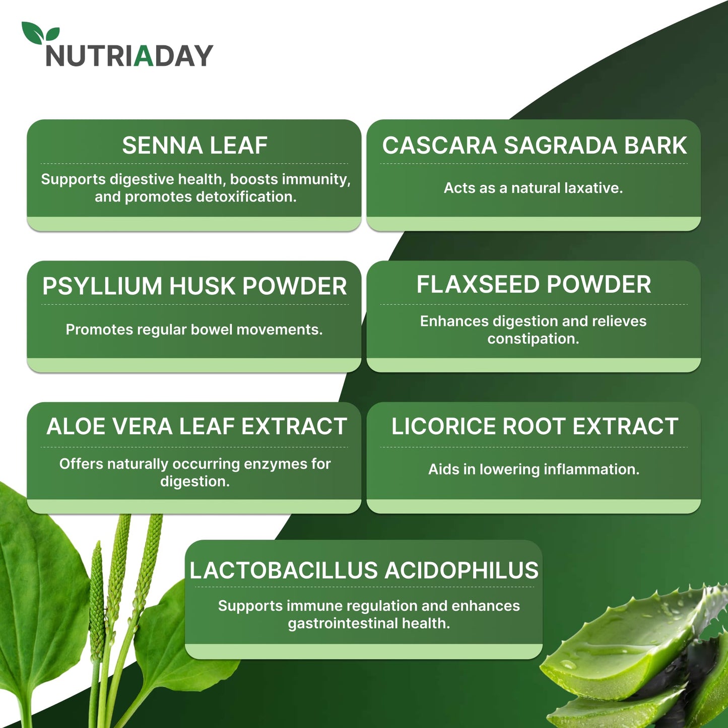 NUTRIADAY Colon 15 Day Cleanse - Advanced Gut Health Solution - Detox Cleanse for Humans with Cascara Sagrada, Psyllium Husk & Probiotics - Advanced Colon Cleanse Capsule, 30 Veg Capsules