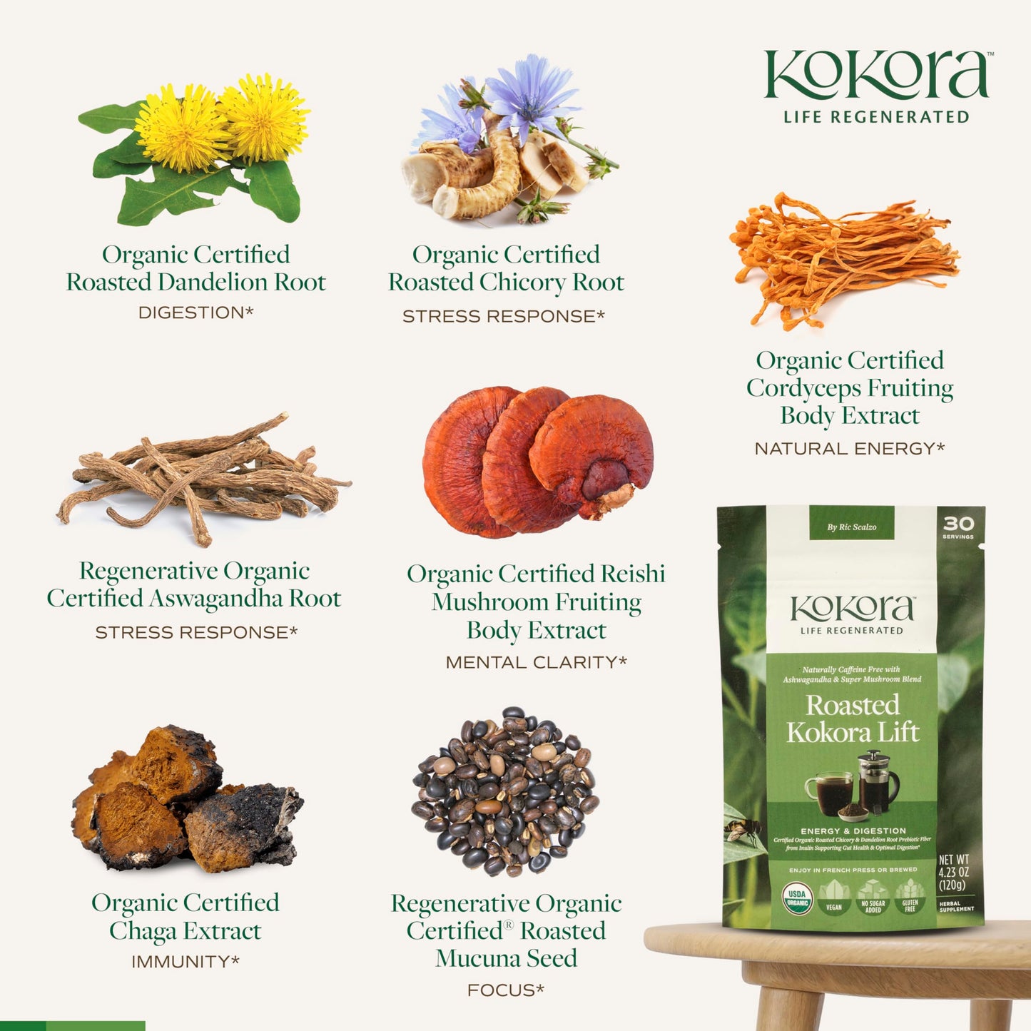 Kokora Roasted Kokora Lift - Energizes & Promotes Healthy Digestion* Coffee Alternative - Organic Adaptogenic Mushroom with Ashwagandha - Vegan, Non-GMO, No Added Sugar Powder, 30 Servings