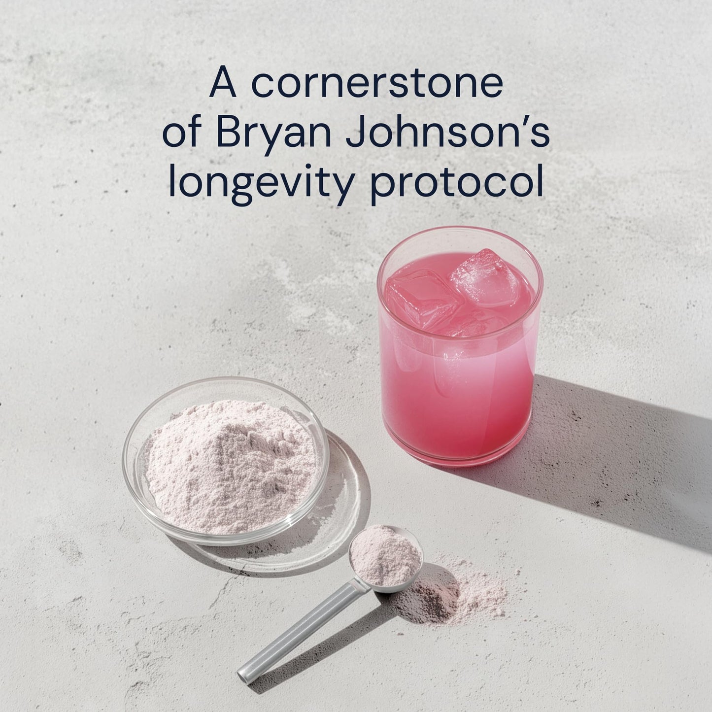 Blueprint Bryan Johnson Longevity Mix Powder 15.4 oz