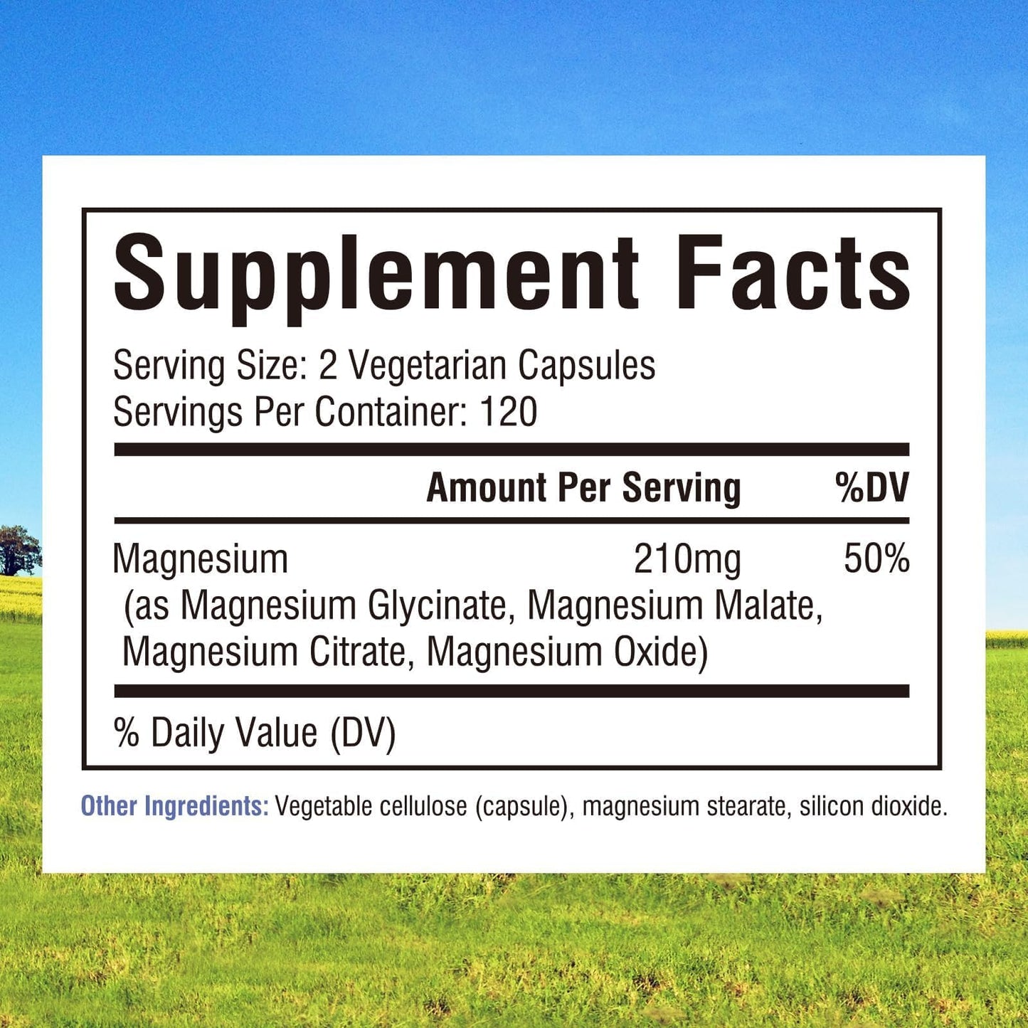 Innate Vitality 4-in-1 Magnesium Complex for Women and Men Capsules 240