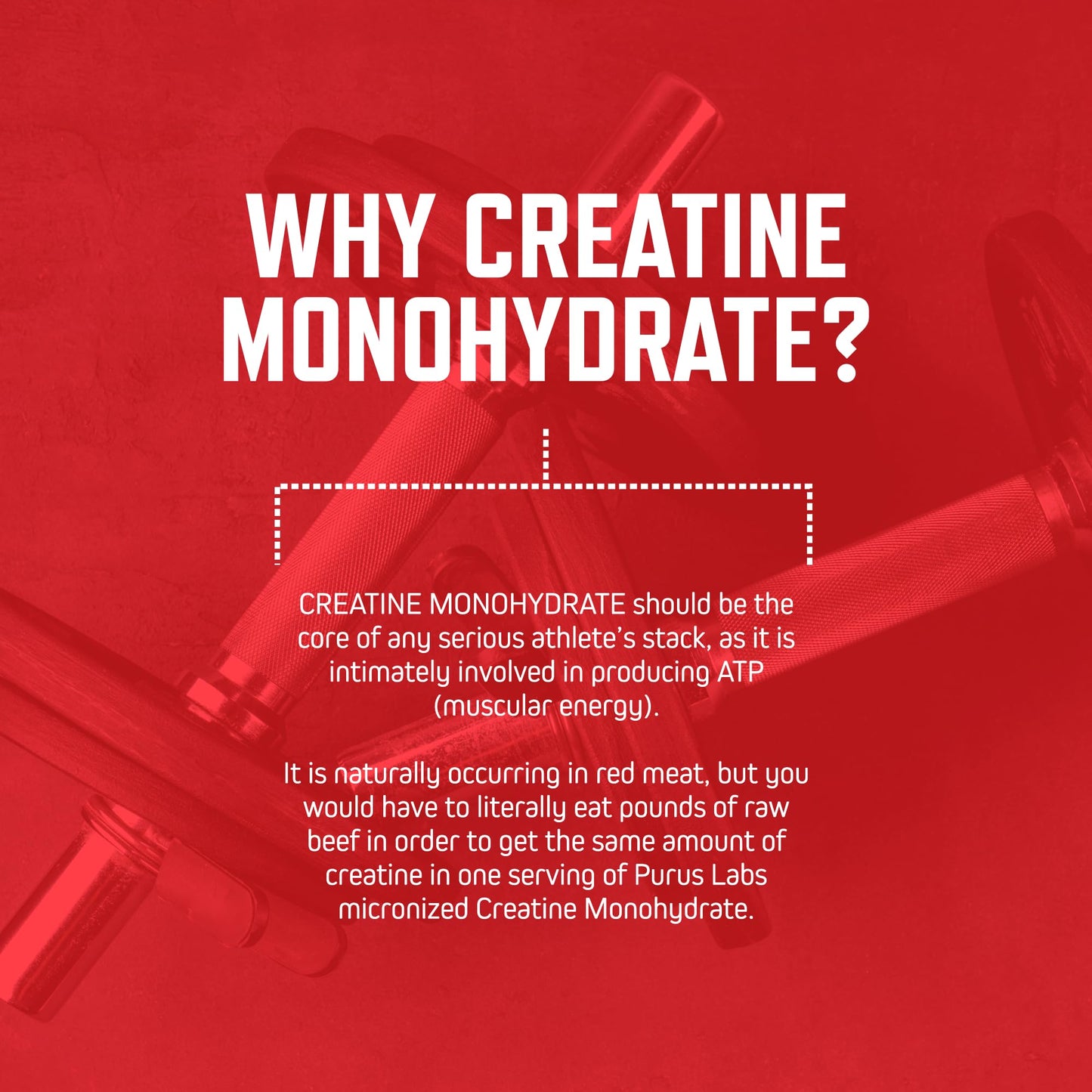 Purus Labs Foundation Series Creatine Powder 30 Servings