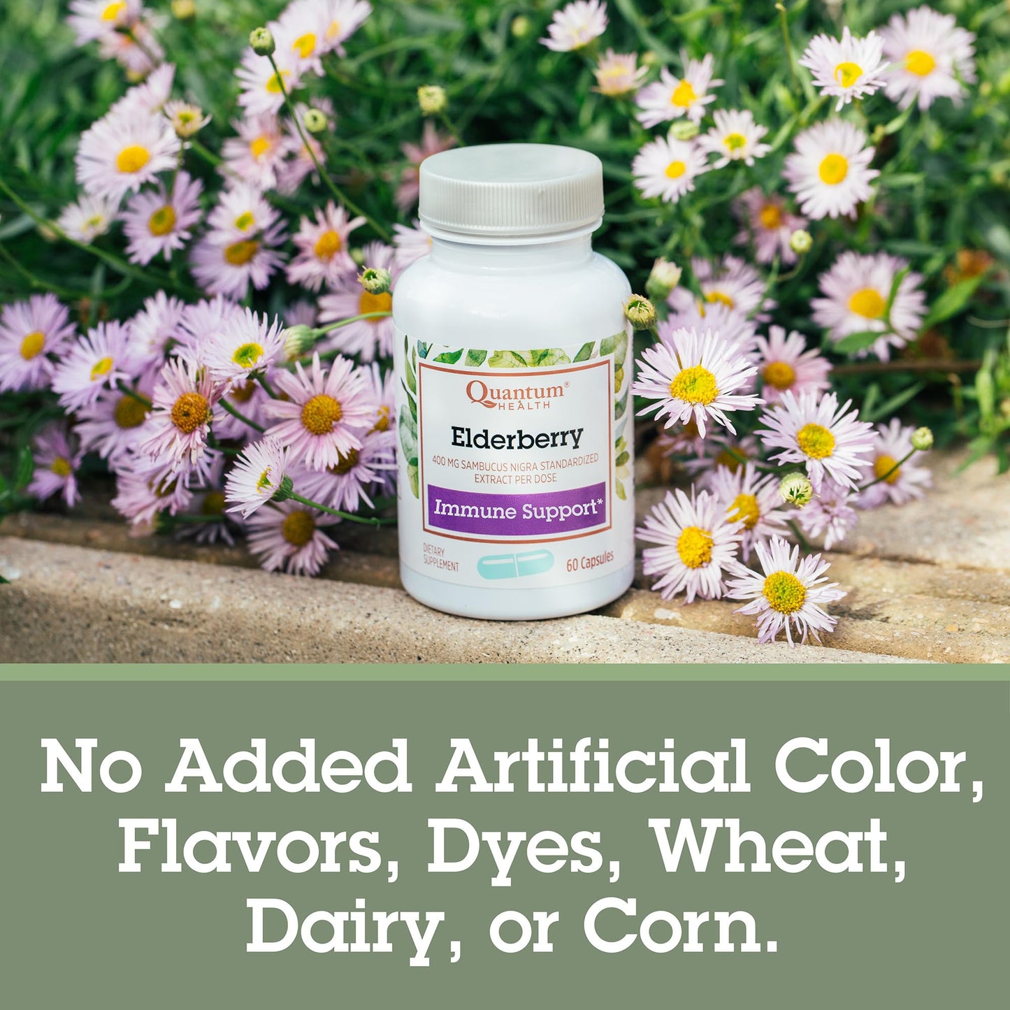 Quantum Elderberry 400mg Sambucus Nigra Immune Support Capsules, 60 Count