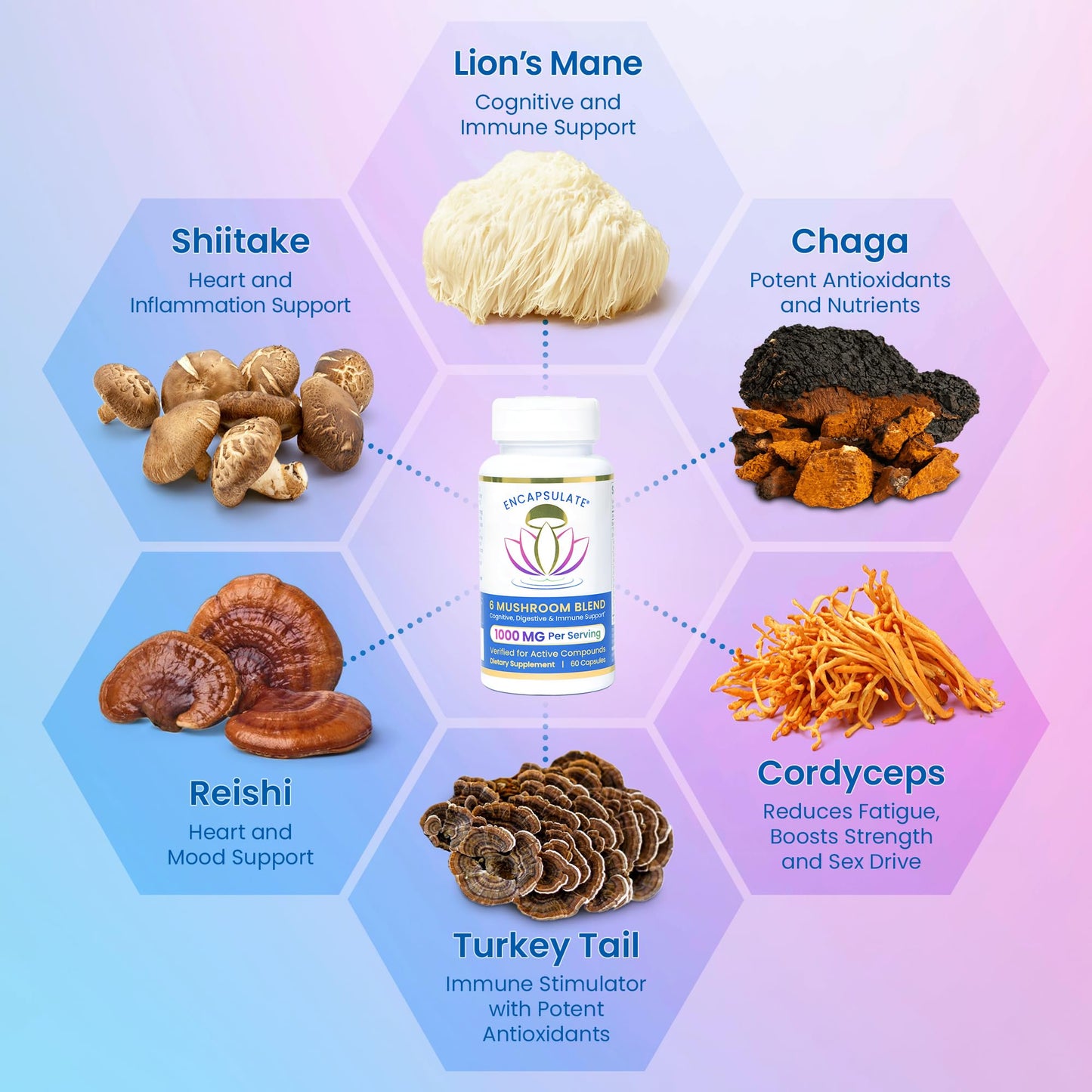 ENCAPSULATE 6 Mushroom Blend Reishi Chaga Turkey Tail Cordyceps Lion’s Mane & Shiitake 8:1 Mushroom Extract Nootropic & Adaptogen Mushroom Supplement for Gut, Brain & Immune Support 60 Capsules