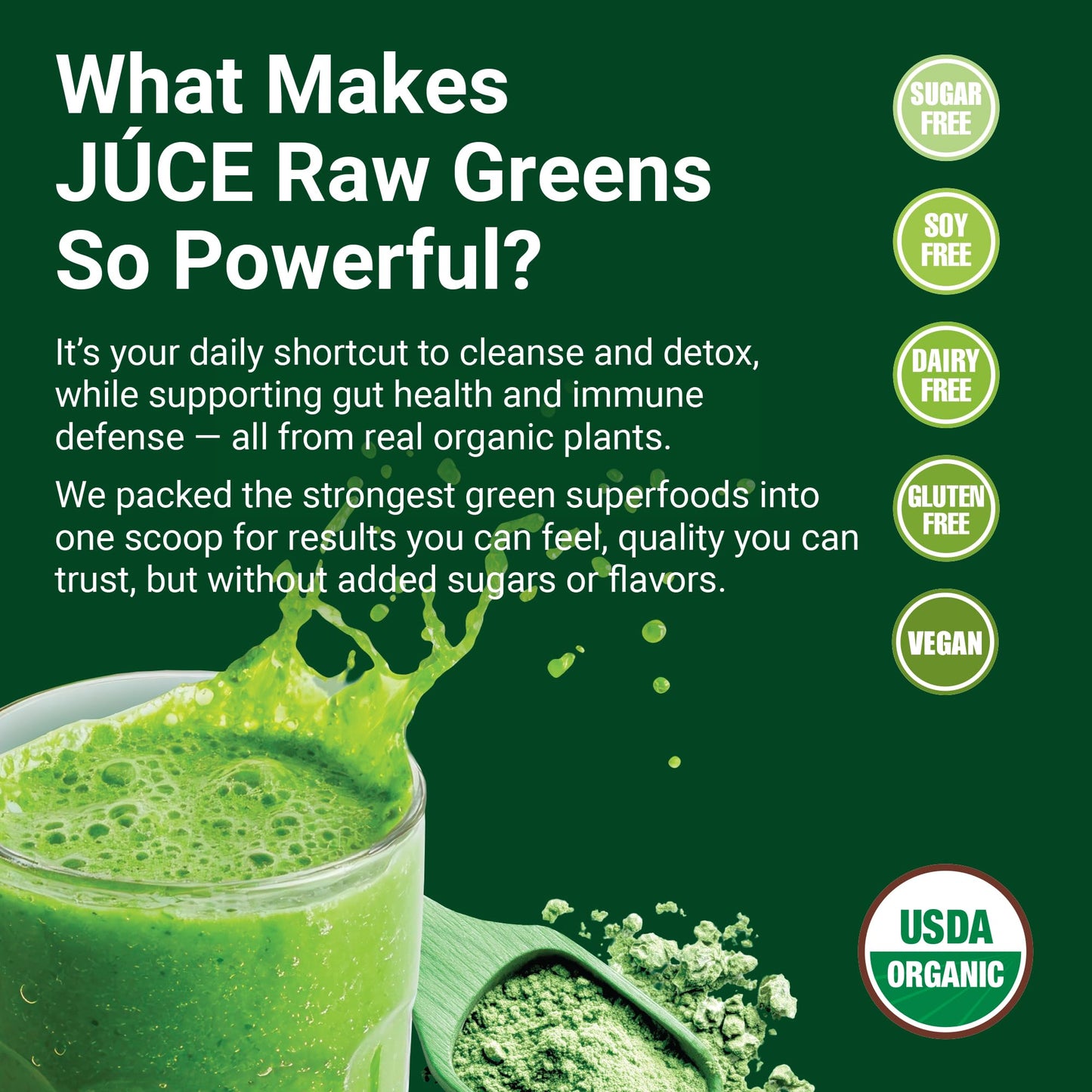 Terra Kai Organics Juce Raw Greens Organic Superfood Powder 8.89 oz