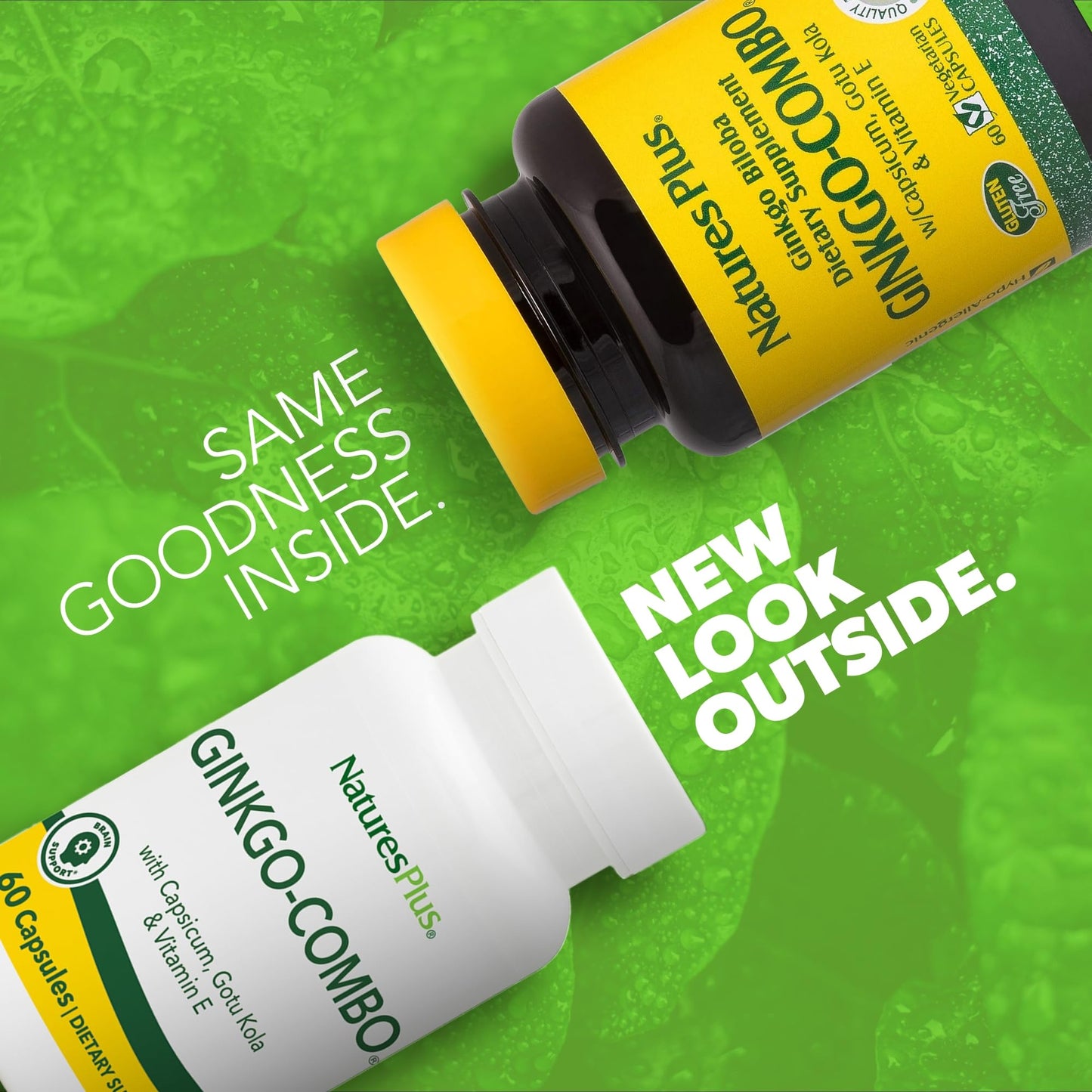 NaturesPlus Ginkgo-Combo 60 Capsules
