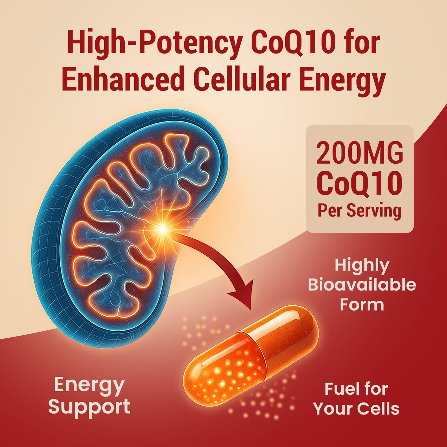 Sundhed Natural CoQ10 200mg Vegan Ultra High Absorption Capsule, 60 Count