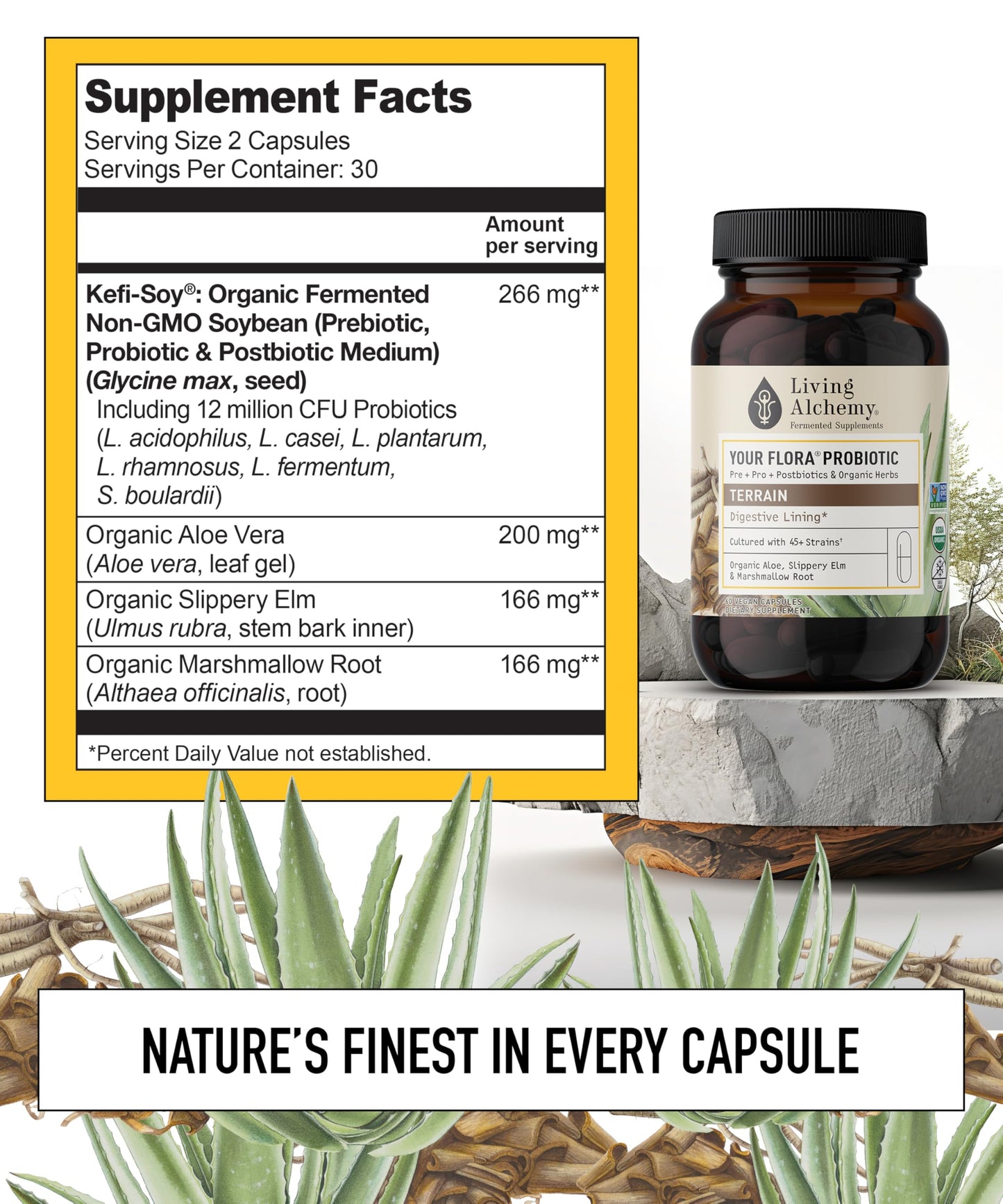 Living Alchemy Your Flora Probiotic Terrain Capsules 60 Count