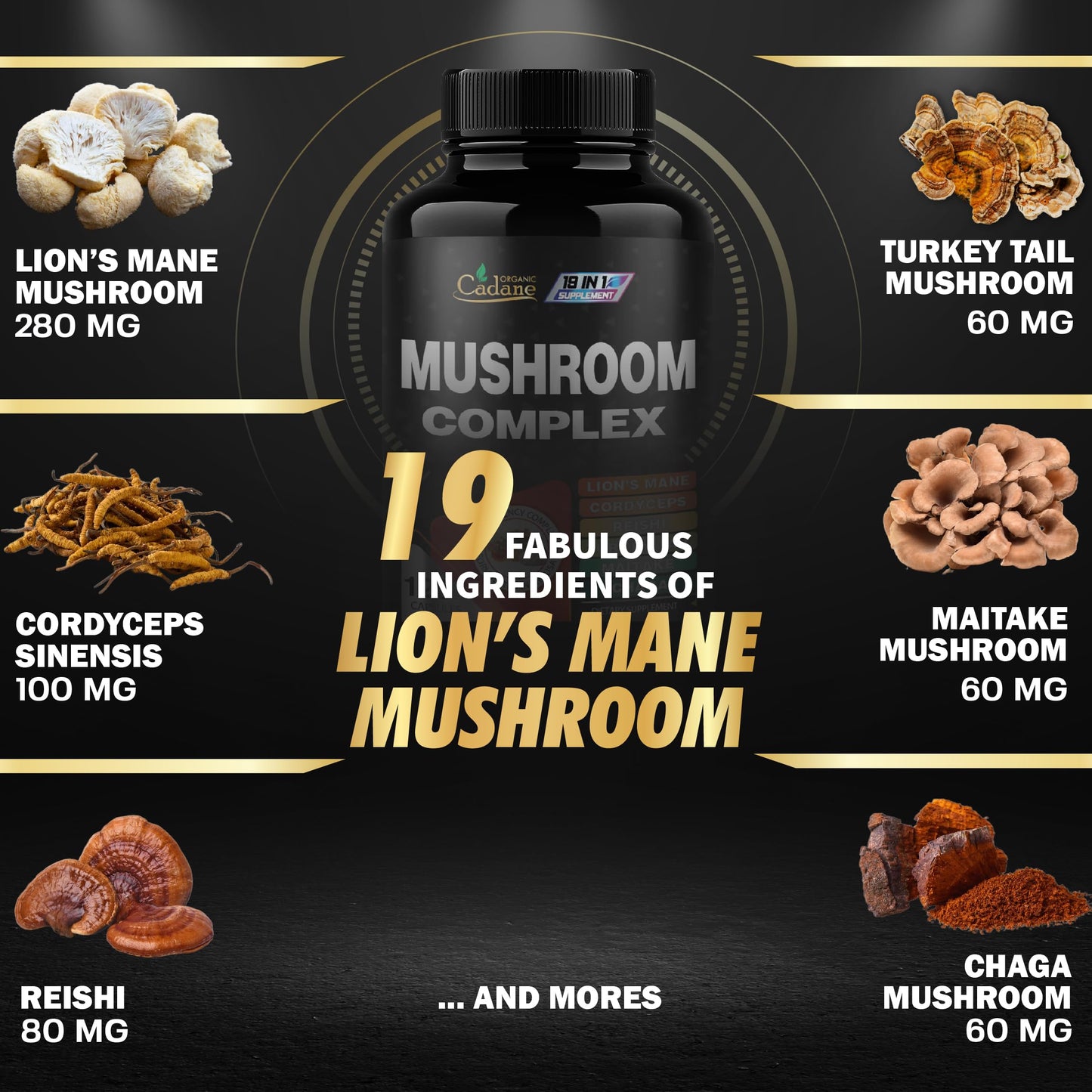 Organic Cadane Mushroom Complex Supplements 19in1 Concentrated with Lions Mane, Cordyceps Sinensis, Reishi, Turkey Tail Mushroom, Maitake, Chaga, Shiitake, Enoki, Agaricus, and More 120 Capsules