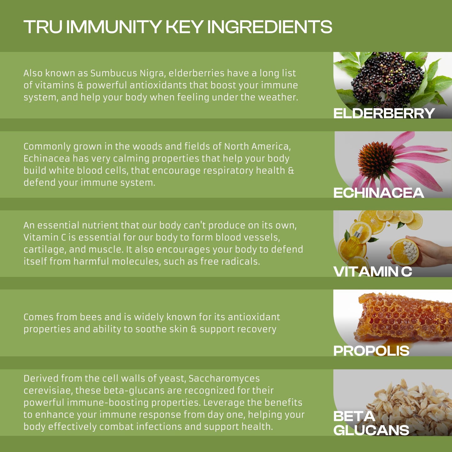 Only Nutri Labs Tru Immunity Dietary Supplement with Elderberry, Propolis, Echinacea, Vitamin C & Beta Glucans Daily Wellness Capsules, 60 Count