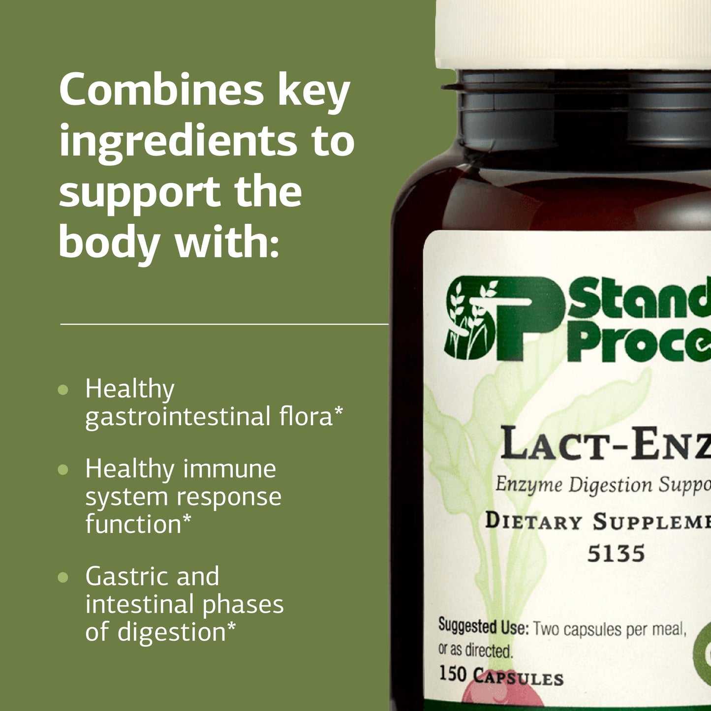 Standard Process Lact-ENZ Enzyme Digestion Support Capsule 90 Count