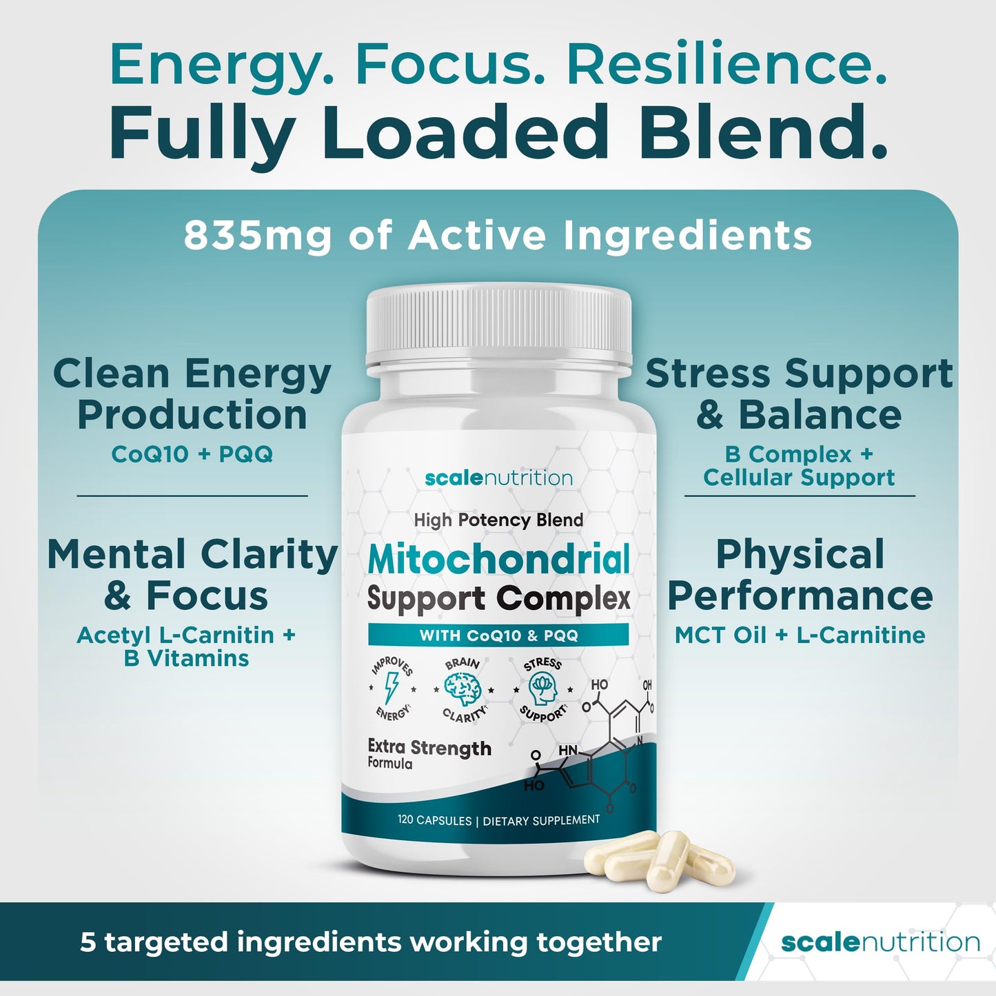 Scale Nutrition Mitochondrial Support Complex – Energy, Focus & Brain Clarity Support – CoQ10, PQQ, Acetyl-L-Carnitine – Cellular Energy & Stress Support Supplement Capsules 120