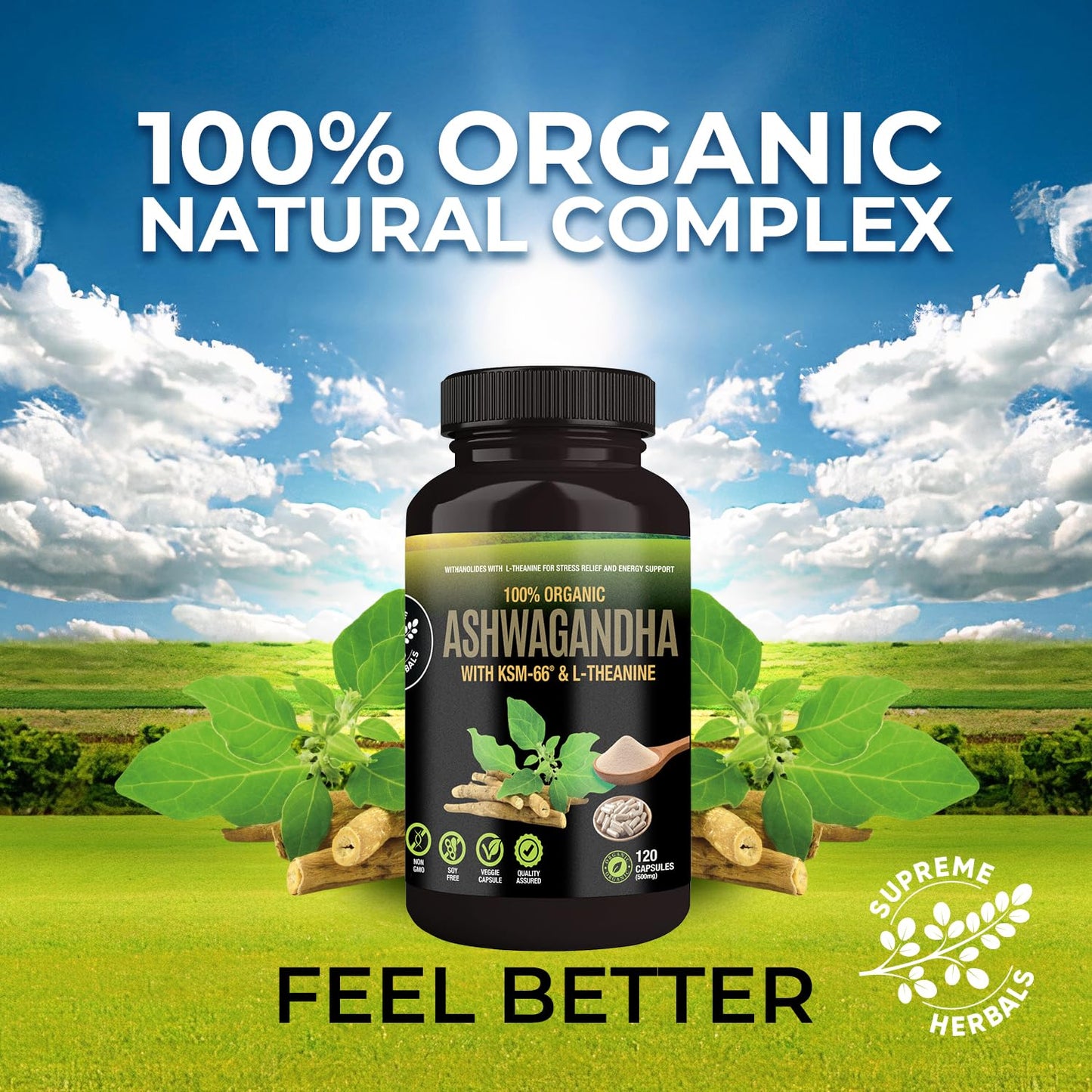 SUPREME HERBALS Ashwagandha 500 mg with KSM-66® & L-Theanine Capsule, 1 Count