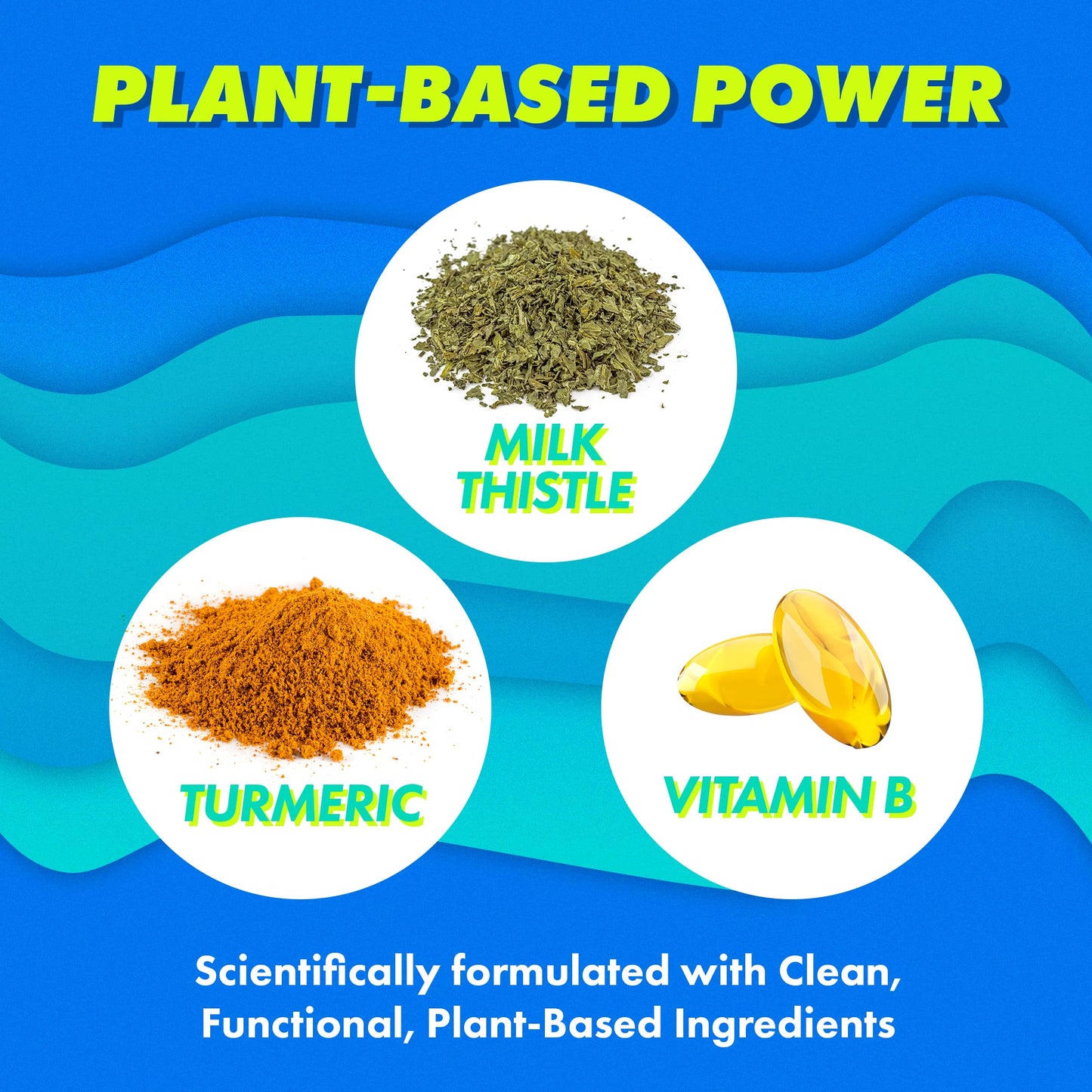 The Plug Liver Cleanse Detox & Repair Pills - Milk Thistle Liver Detox - Fatty Liver Support Supplement Capsules, 20