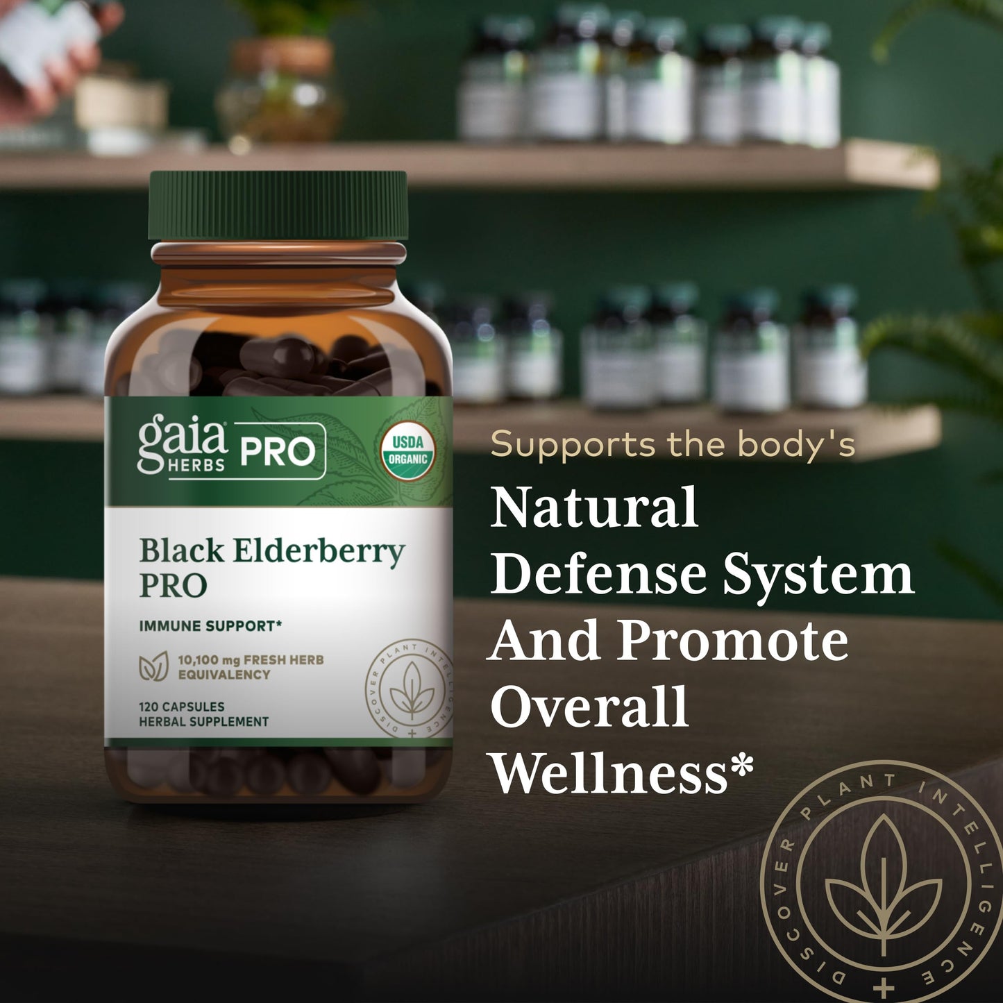 Gaia Herbs PRO Black Elderberry Pro 120 Capsules