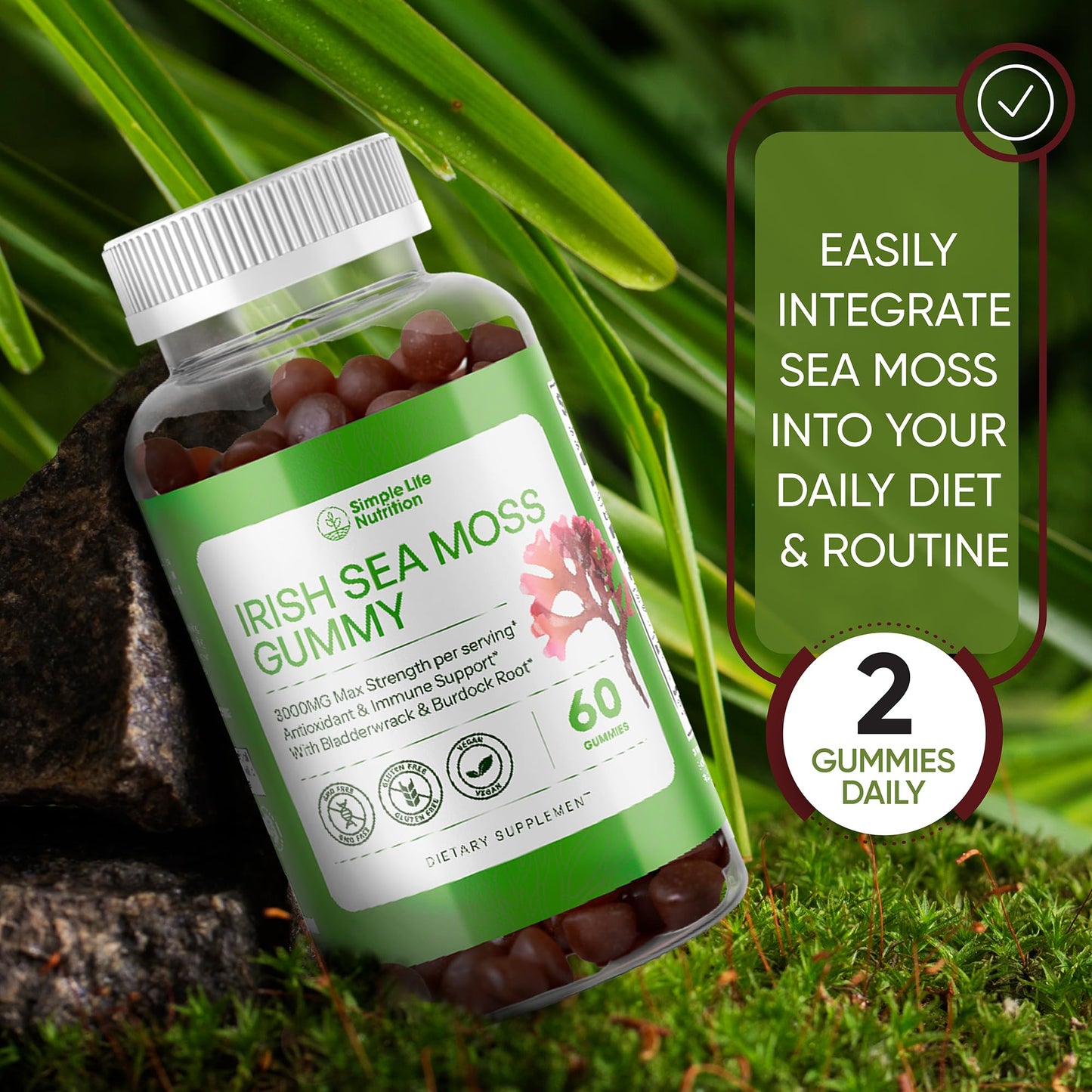 Simple Life Nutrition Organic Irish Sea Moss Gummies with Burdock Root & Bladderwrack, 60 Gummies