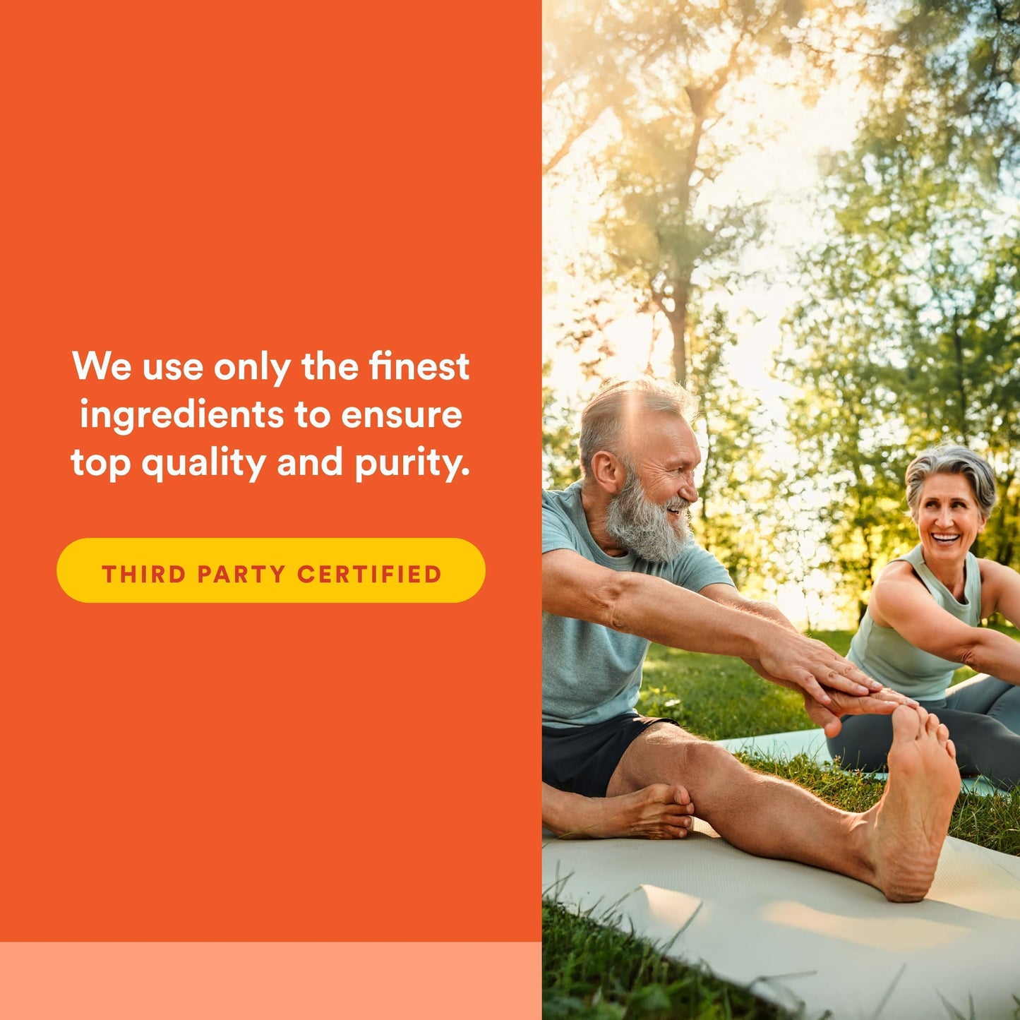 Natural Factors MSM 90 Capsules