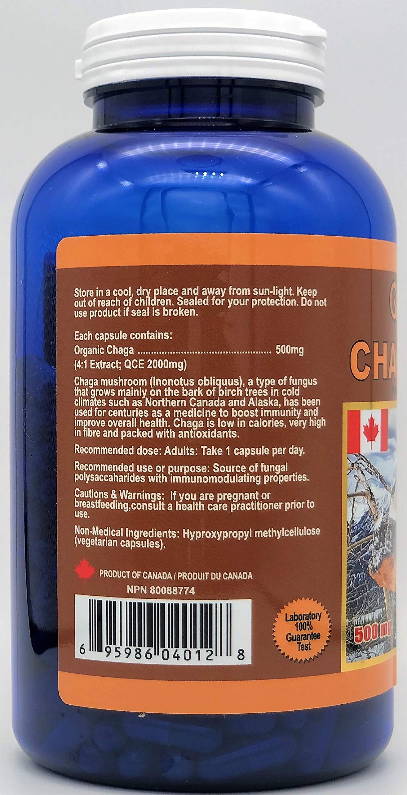QUALITYLAB Chaga Gold 500 mg Capsules 360