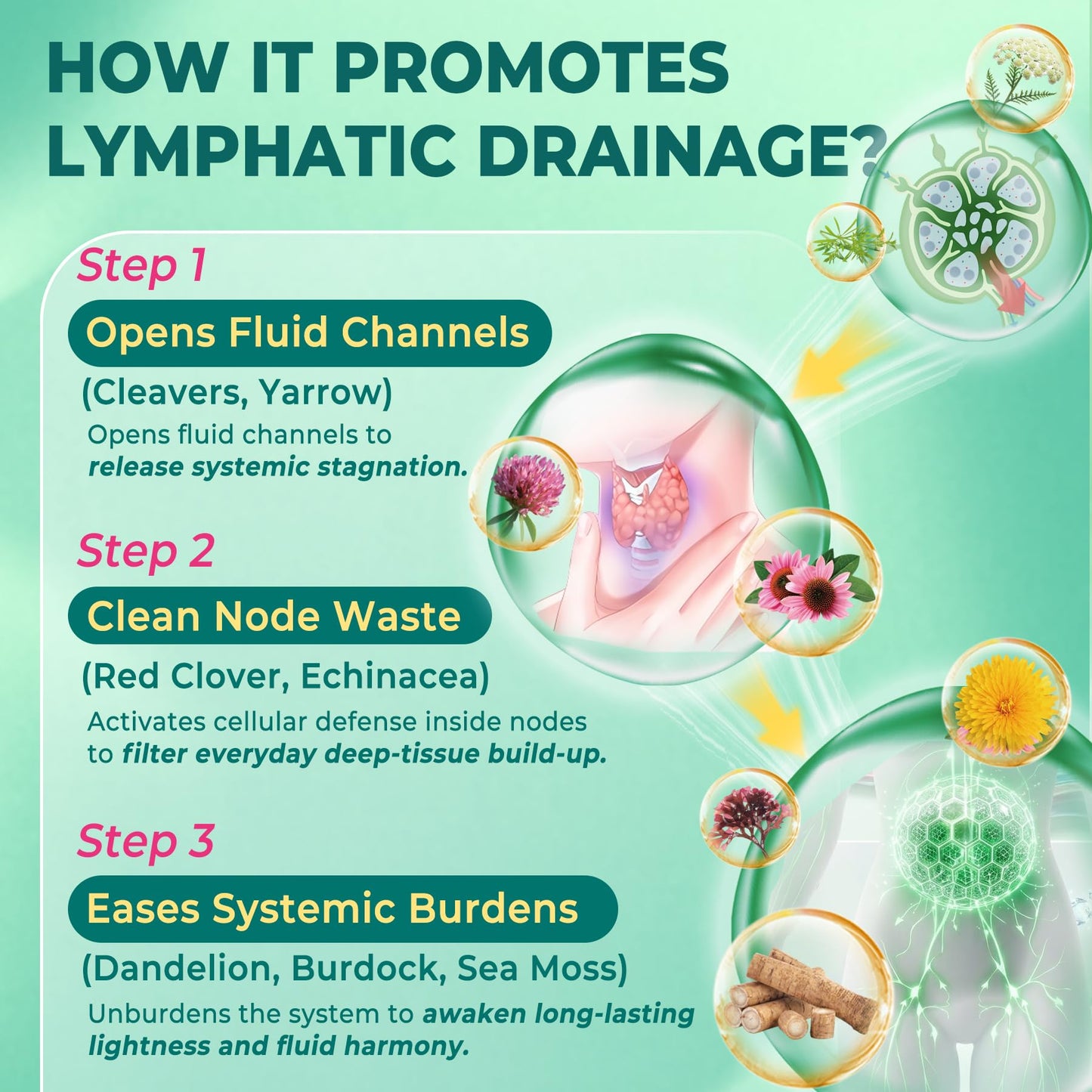 Nextdia Liposomal Lymphatic Drainage Supplements Gummies, 120 Count