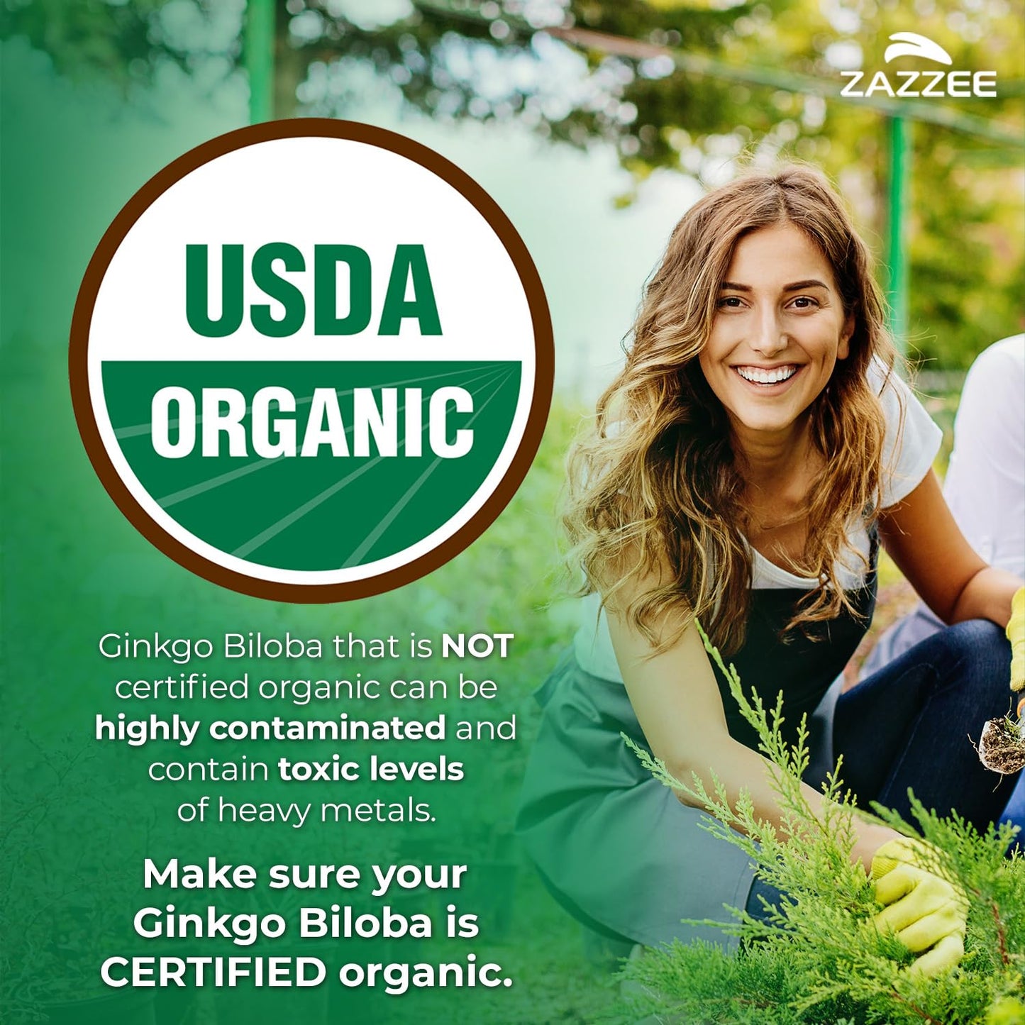 Zazzee Ginkgo Biloba 20:1 Extract Vegan Capsules, 120 Count