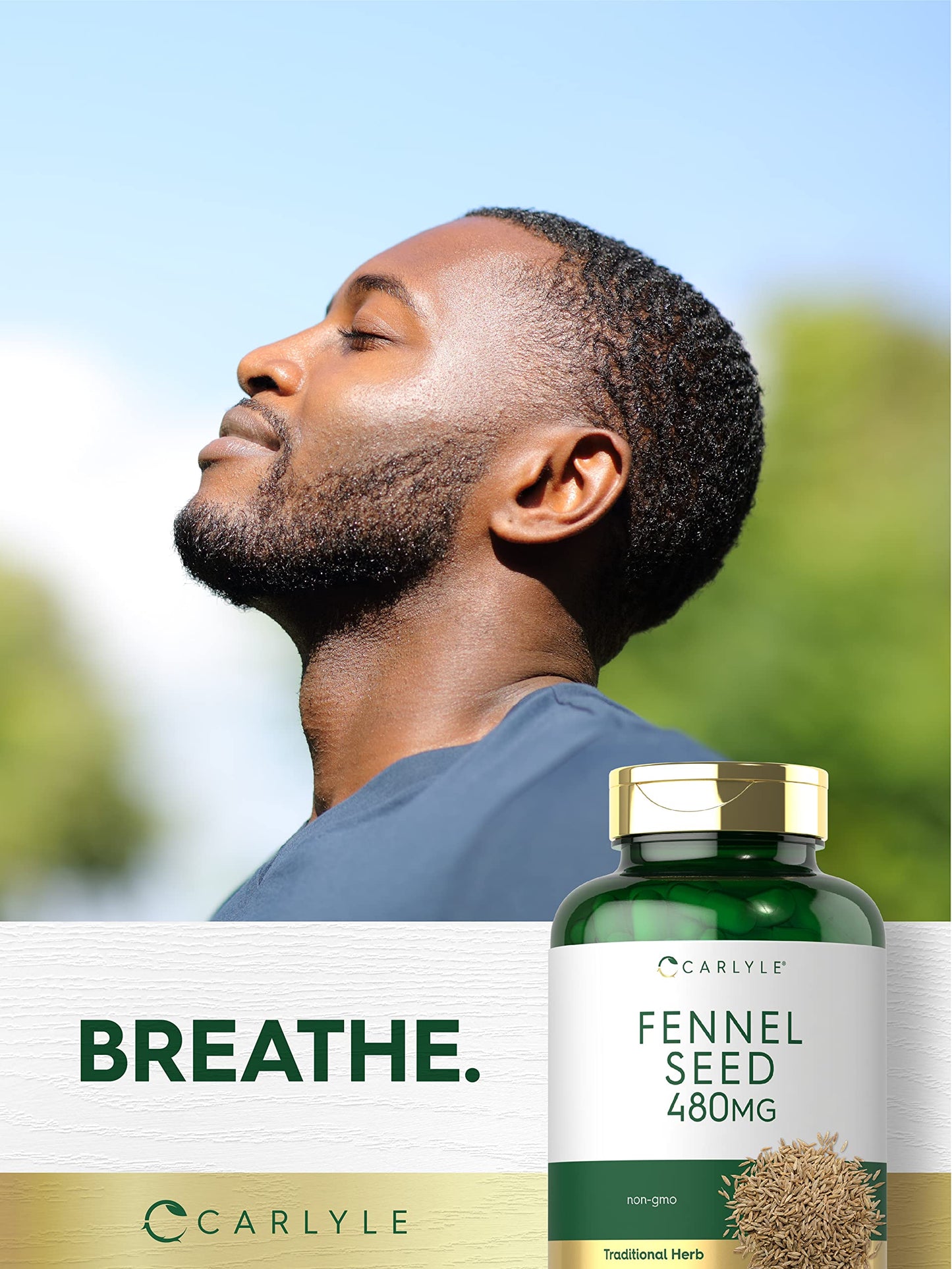 Carlyle Fennel Seed 480mg Capsules, 200 Count
