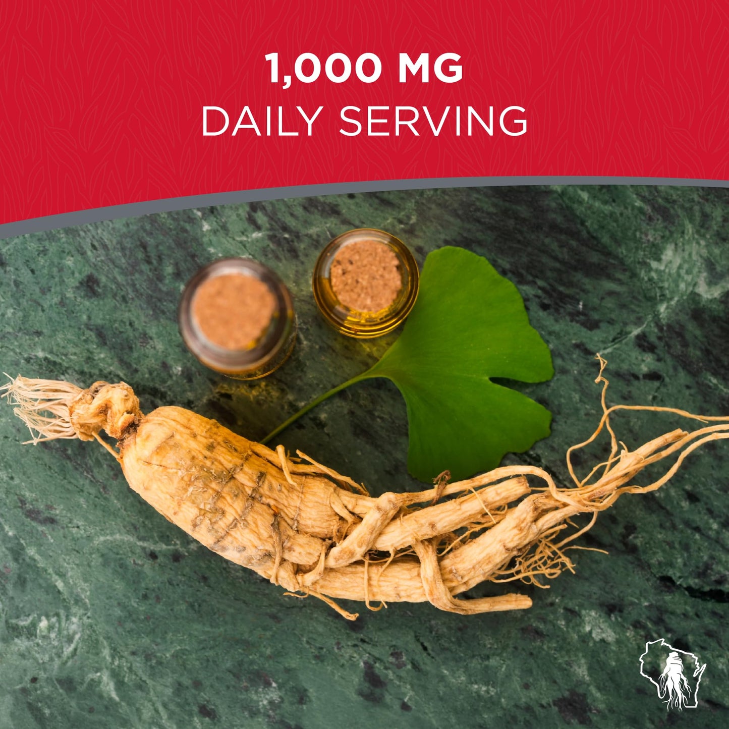 Dairyland Management LLC Panax Ginseng + Ginkgo Biloba Capsules 4-Count