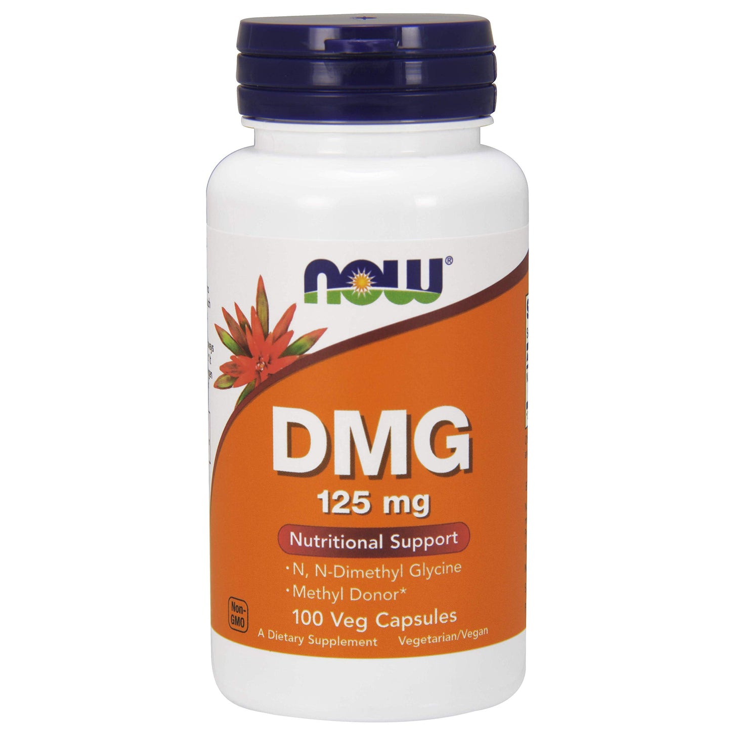 NOW Foods DMG 100 Capsules