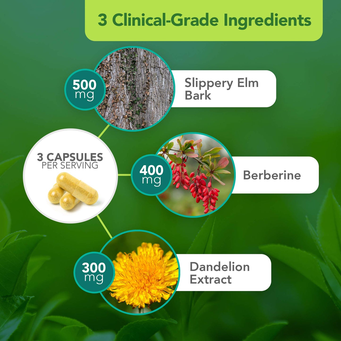 Vital Plan Gut Balance Supplement Capsule 180 Count