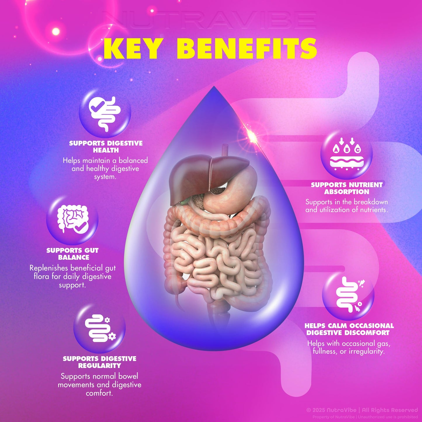 NutraVibe CellTox Daily Gut & Digestive Support for Digestion, Comfort & Microbiome Balance Capsules 180