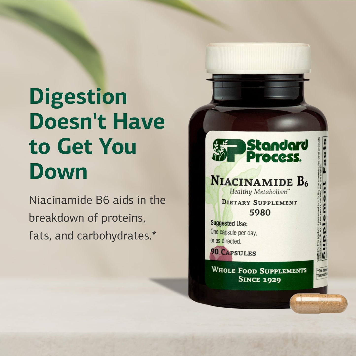 Standard Process Inc. Niacinamide B6 Capsules 90