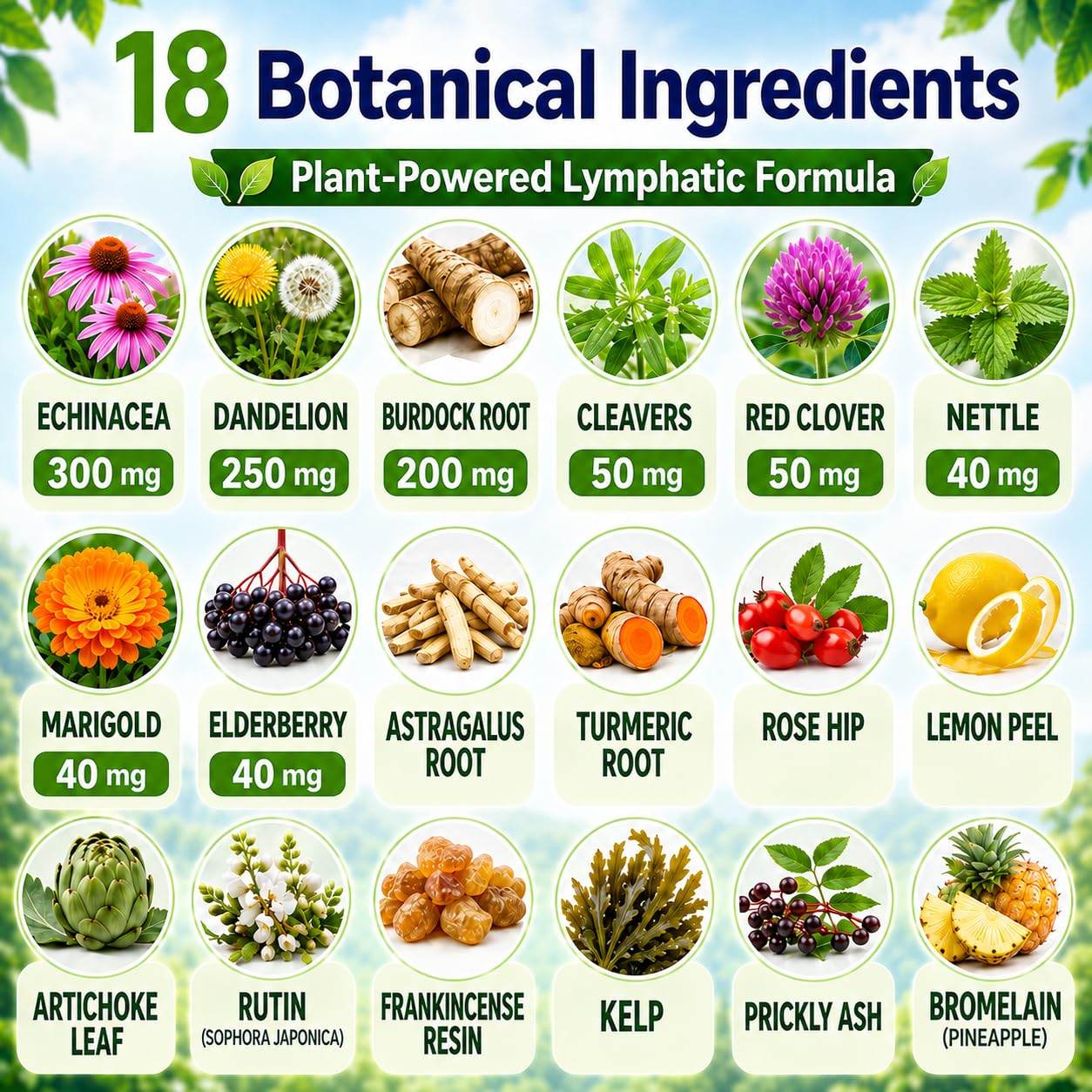Wellgiuueo Lymphatic Drainage Herbal Capsules for Fluid and Immune Health with Echinacea, Dandelion, Burdock Root, Turmeric and Bromelain, 90 Capsules