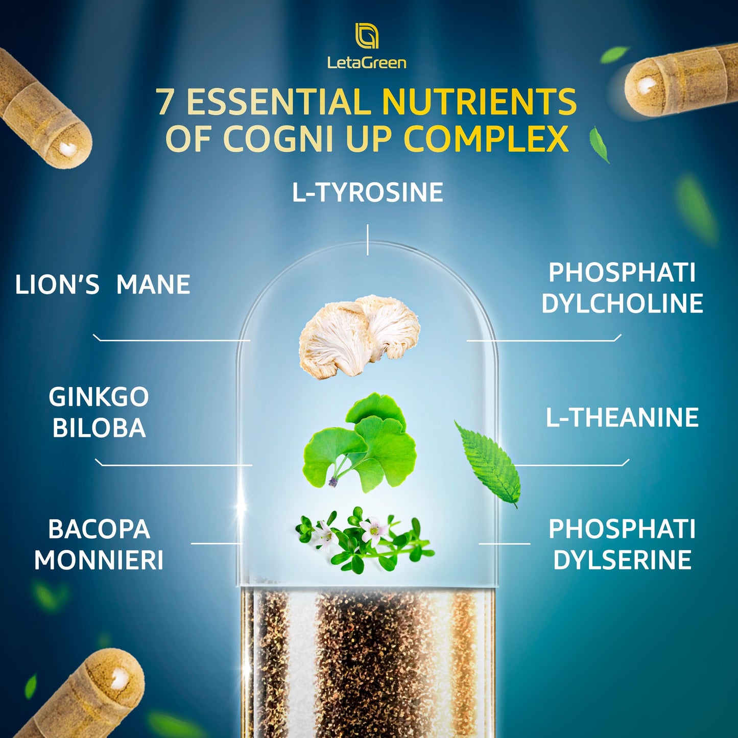 LetaGreen Sea Moss & Lion's Mane Capsule Bundle, 240 Capsules