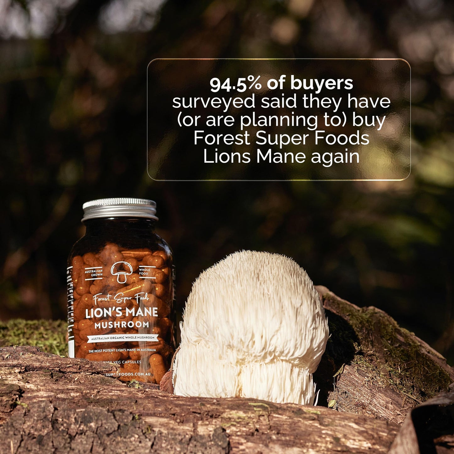 Forest Super Foods Lions Mane Supplement Capsule, 120 Capsules