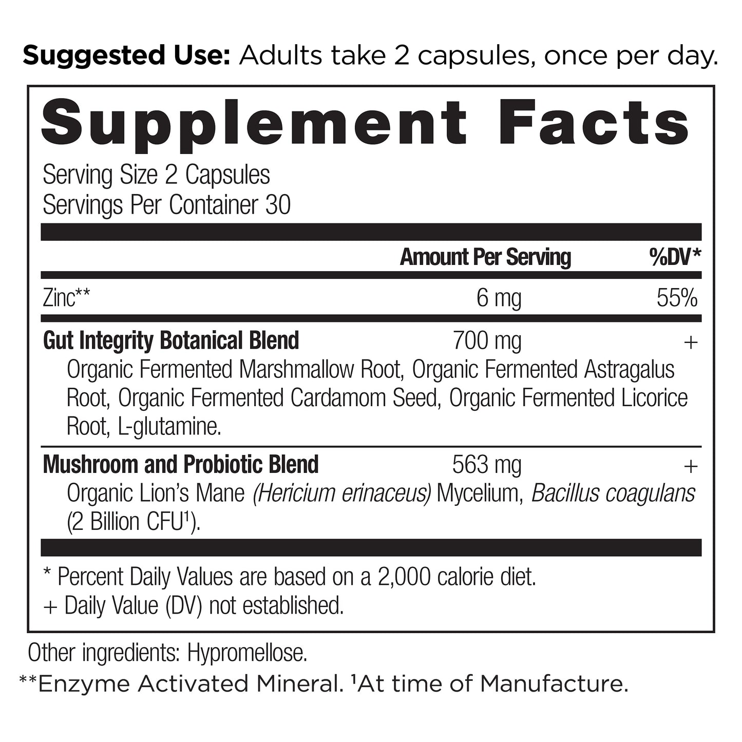 Ancient Nutrition SBO Gut Restore Probiotics Capsules (60 Count) + Leaky Gut Capsules (60 Count)
