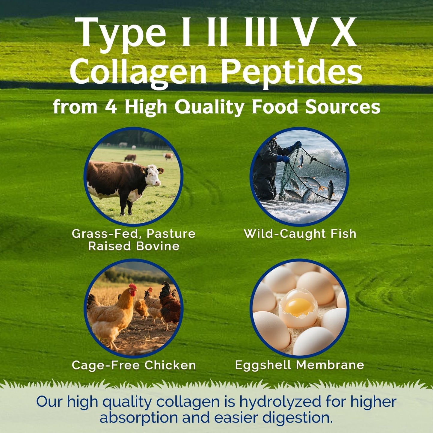 Innate Vitality Collagen Peptides for Women & Men Capsules 120 Count