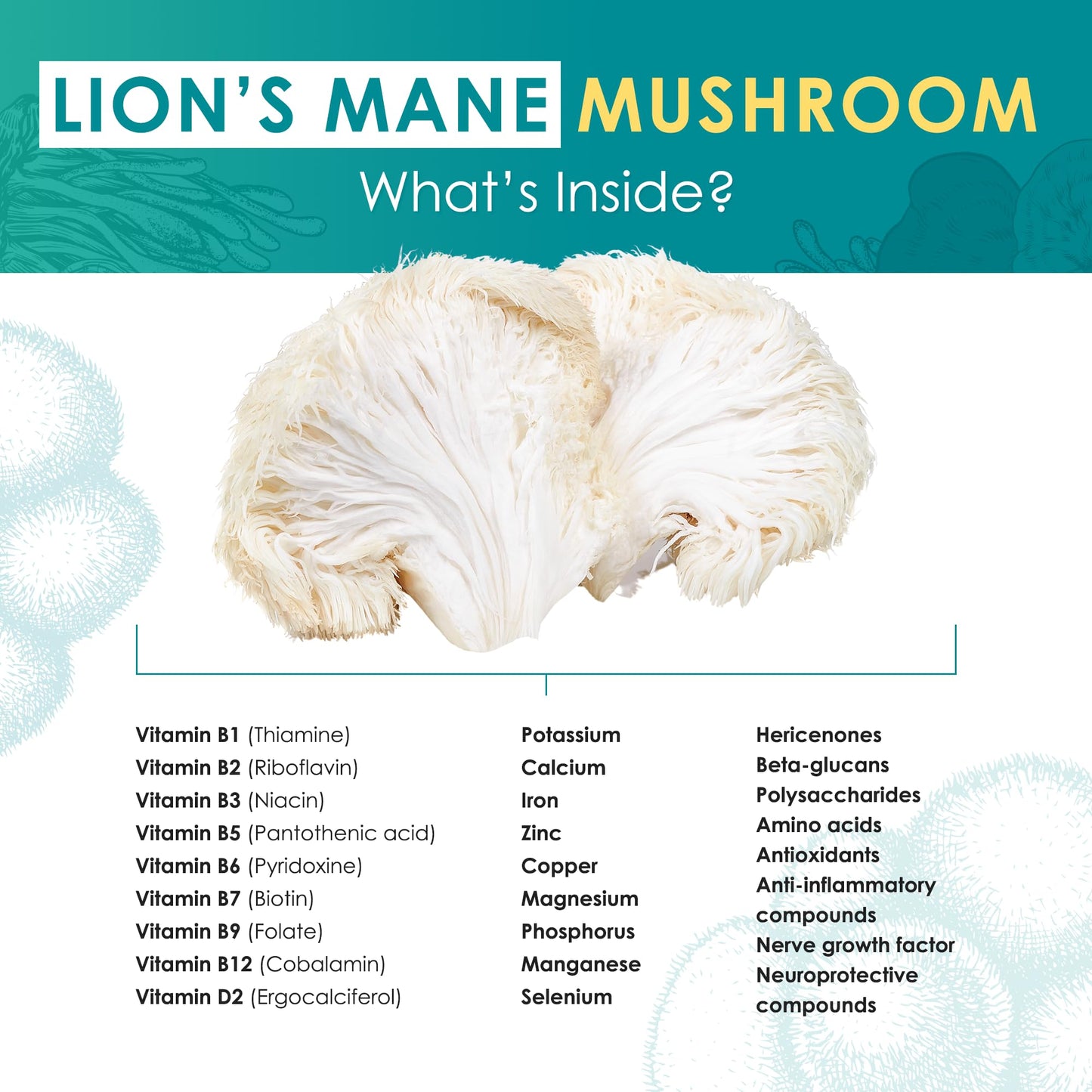 Purest Mushrooms Lion’s Mane Powder 2.1 oz