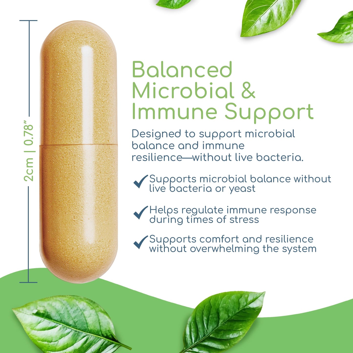 Return Healthy Herbal Biotic Immune Support Vitamins 120 Vegan Capsules