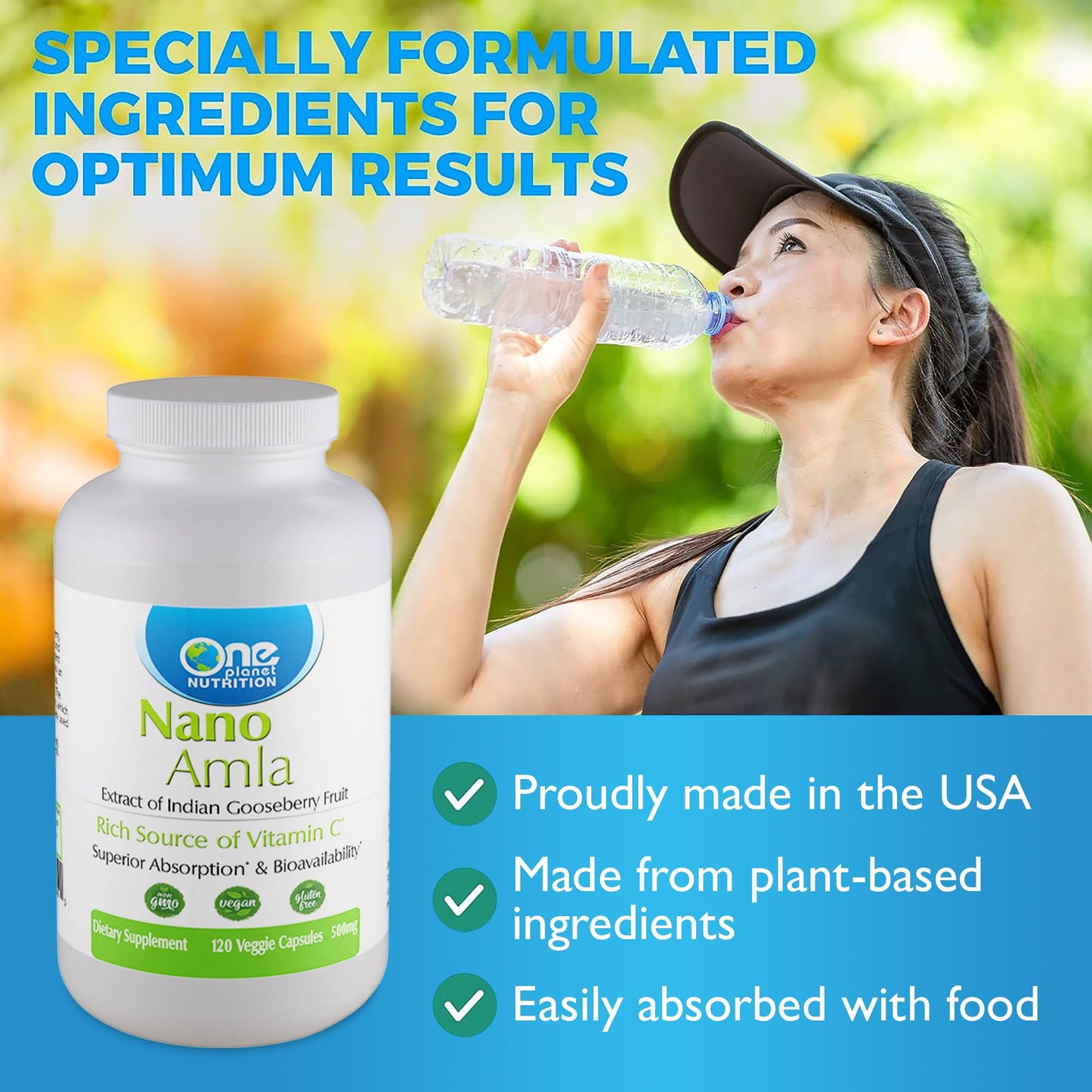 One Planet Nutrition Nano Amla 500 mg Veggie Capsules, 120 Count