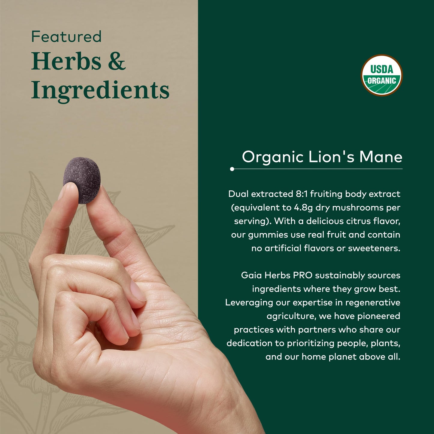 Gaia Herbs PRO Lion's Mane Gummies 90 Count