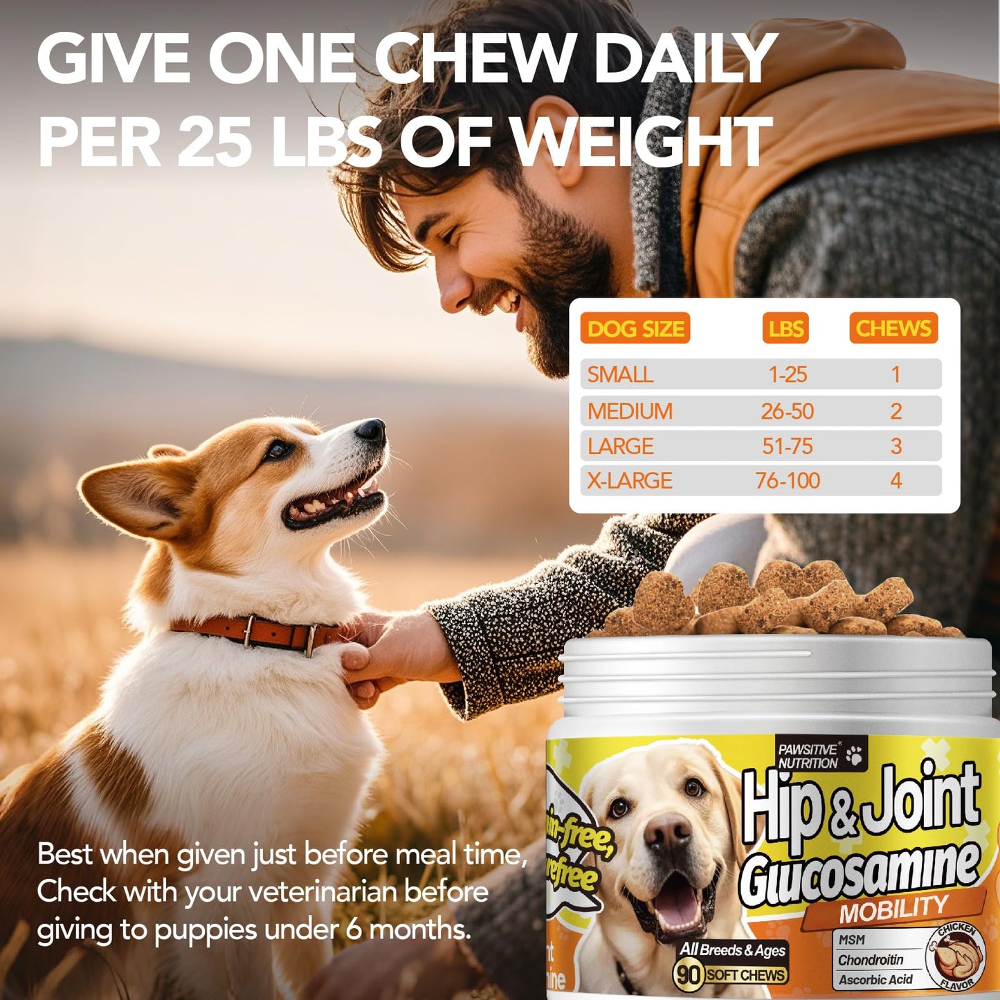 MEGNETA Hip and Joint Supplement for Dogs Chewable, 90 Chews
