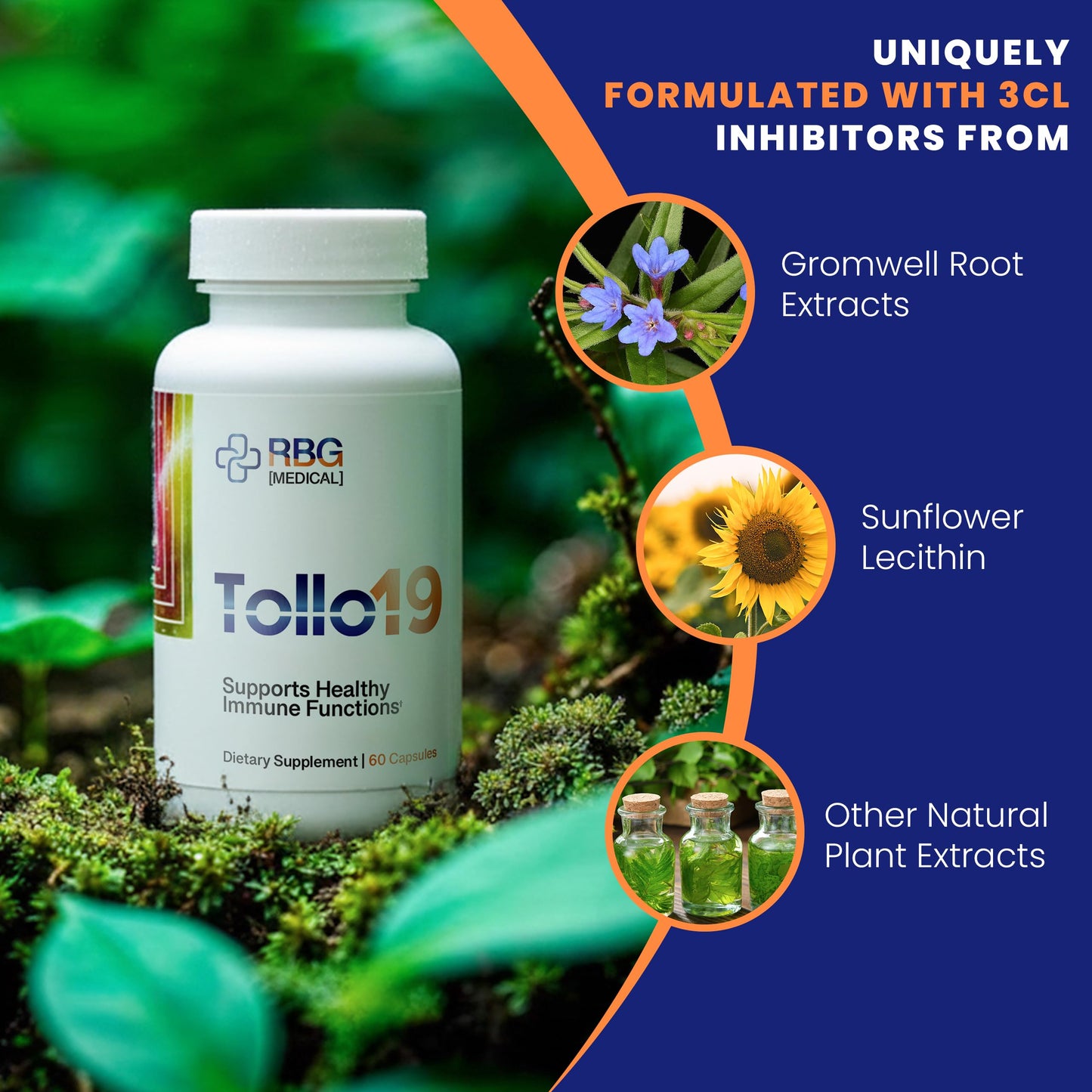 Research Biotech Group Tollo19 Immune Support Supplement Capsules, 60 Count